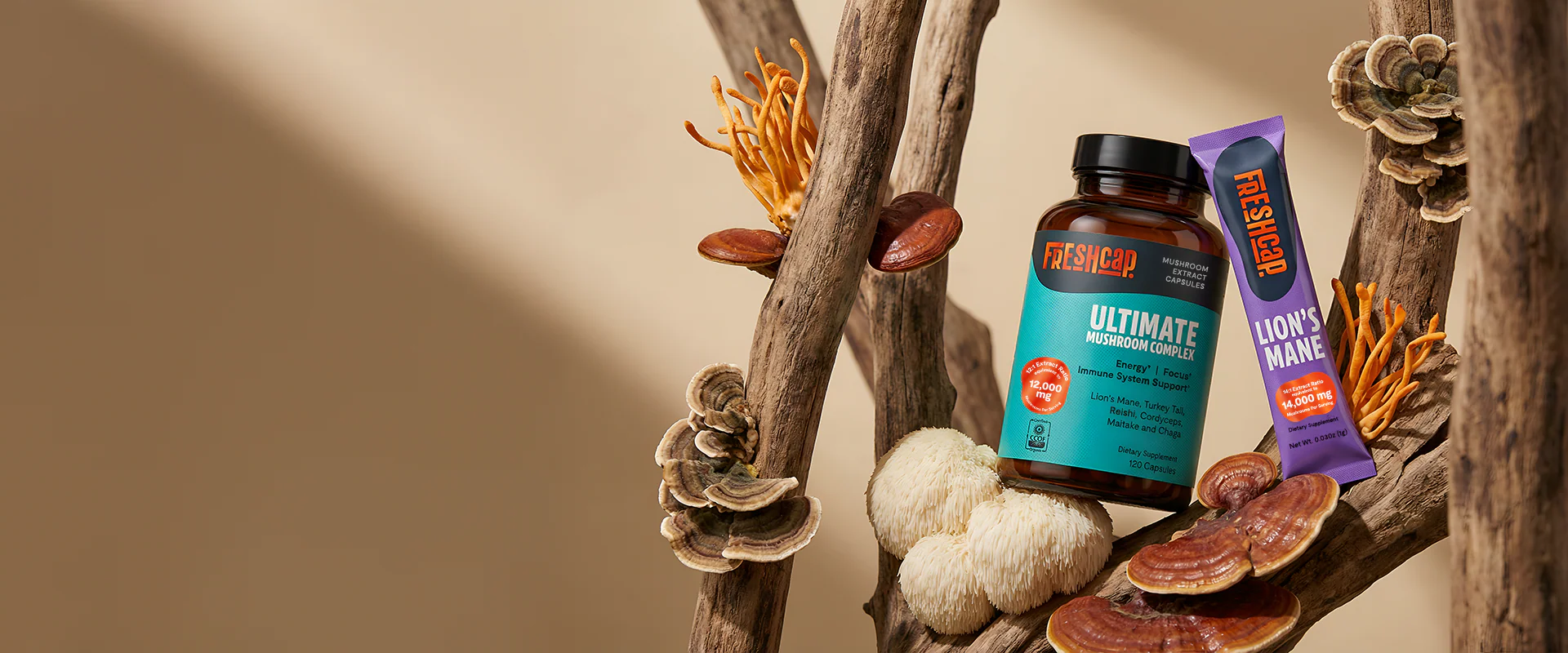 Welcome to Our Store