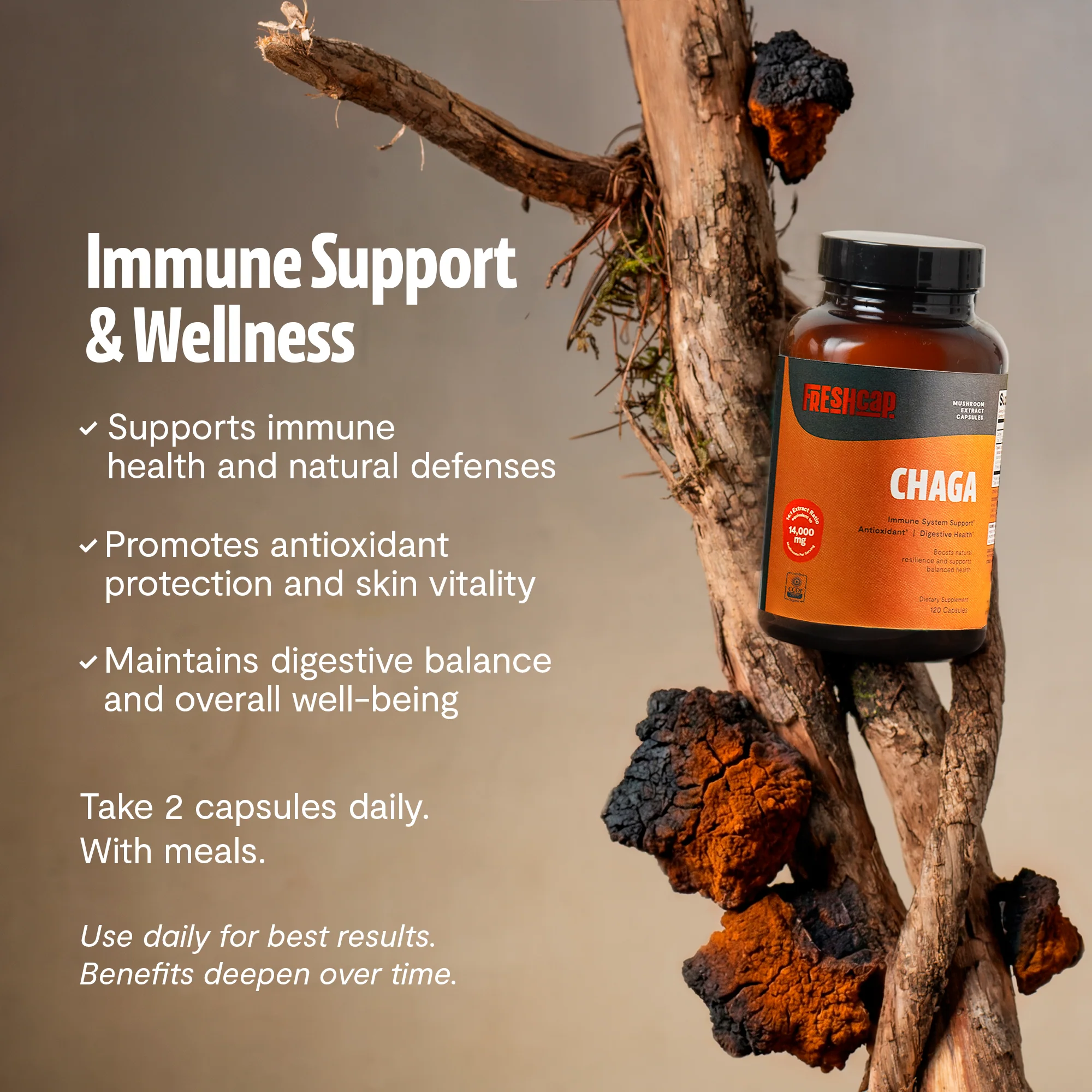 Chaga Mushroom Extract Capsules - Image 16