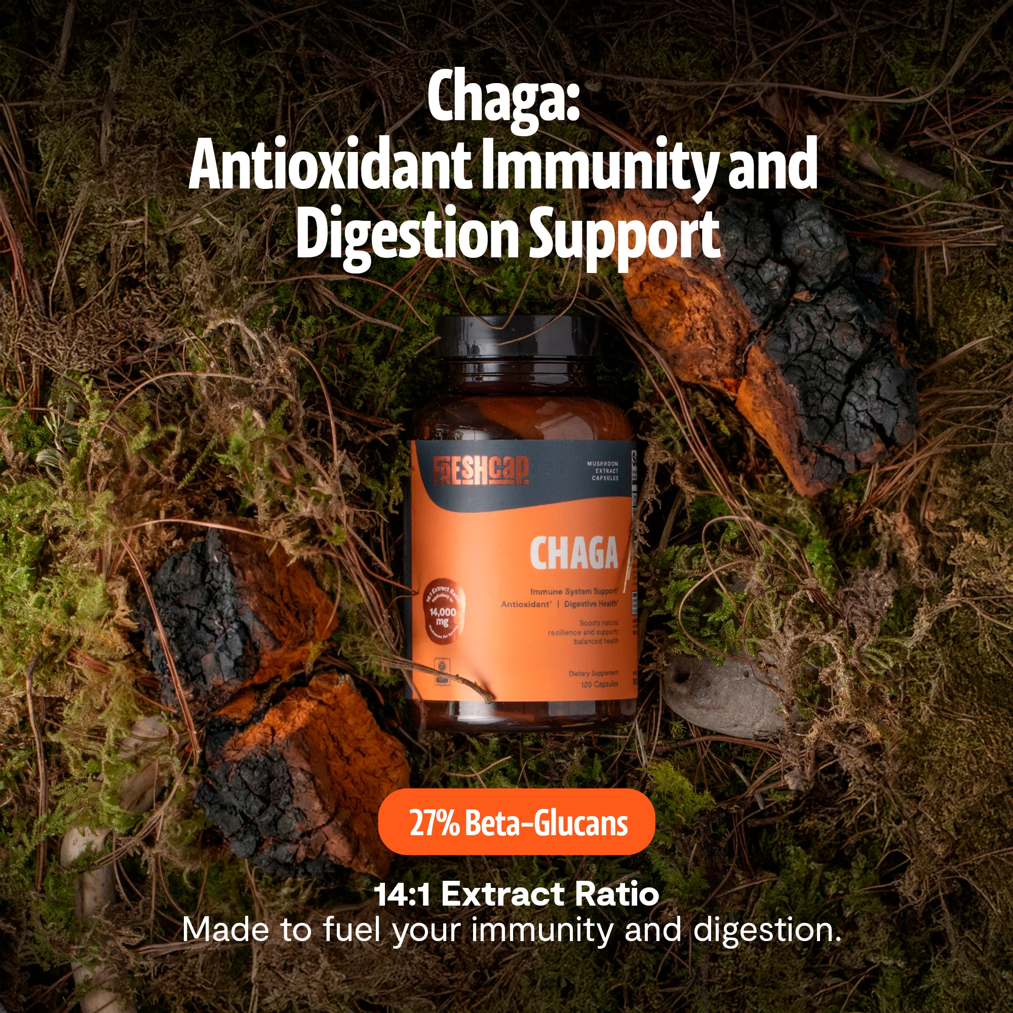 Chaga Mushroom Extract Capsules - Image 17