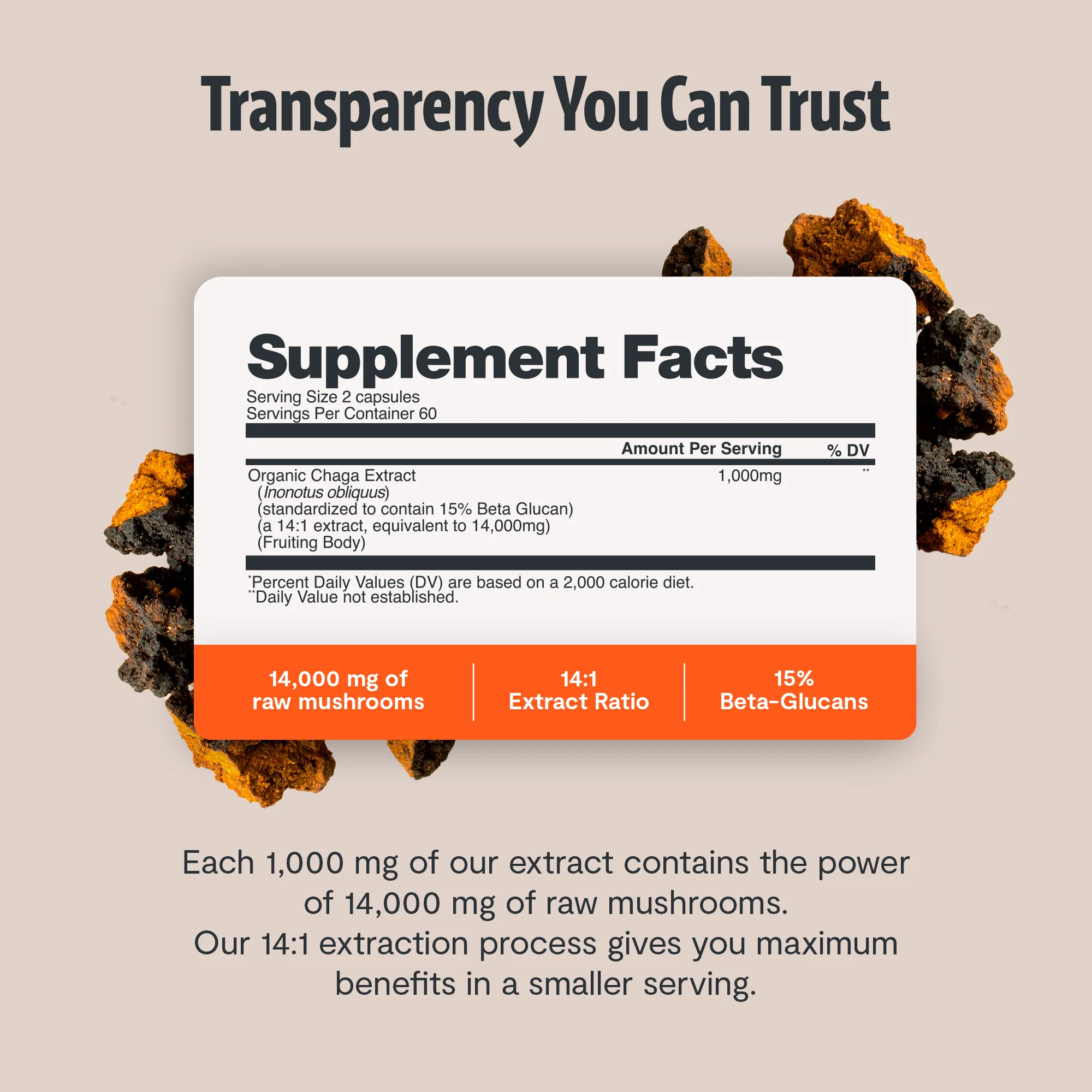 Chaga Mushroom Extract Capsules - Image 3