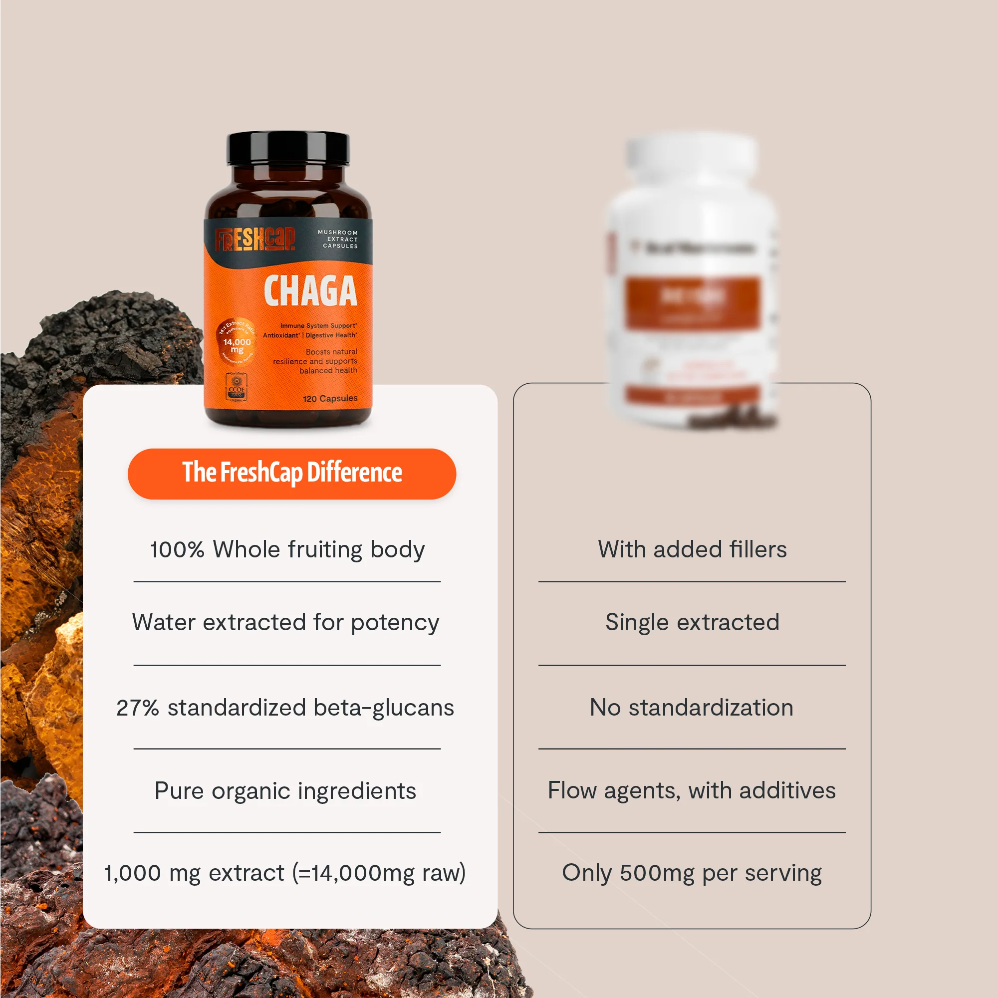 Chaga Mushroom Extract Capsules - Image 4