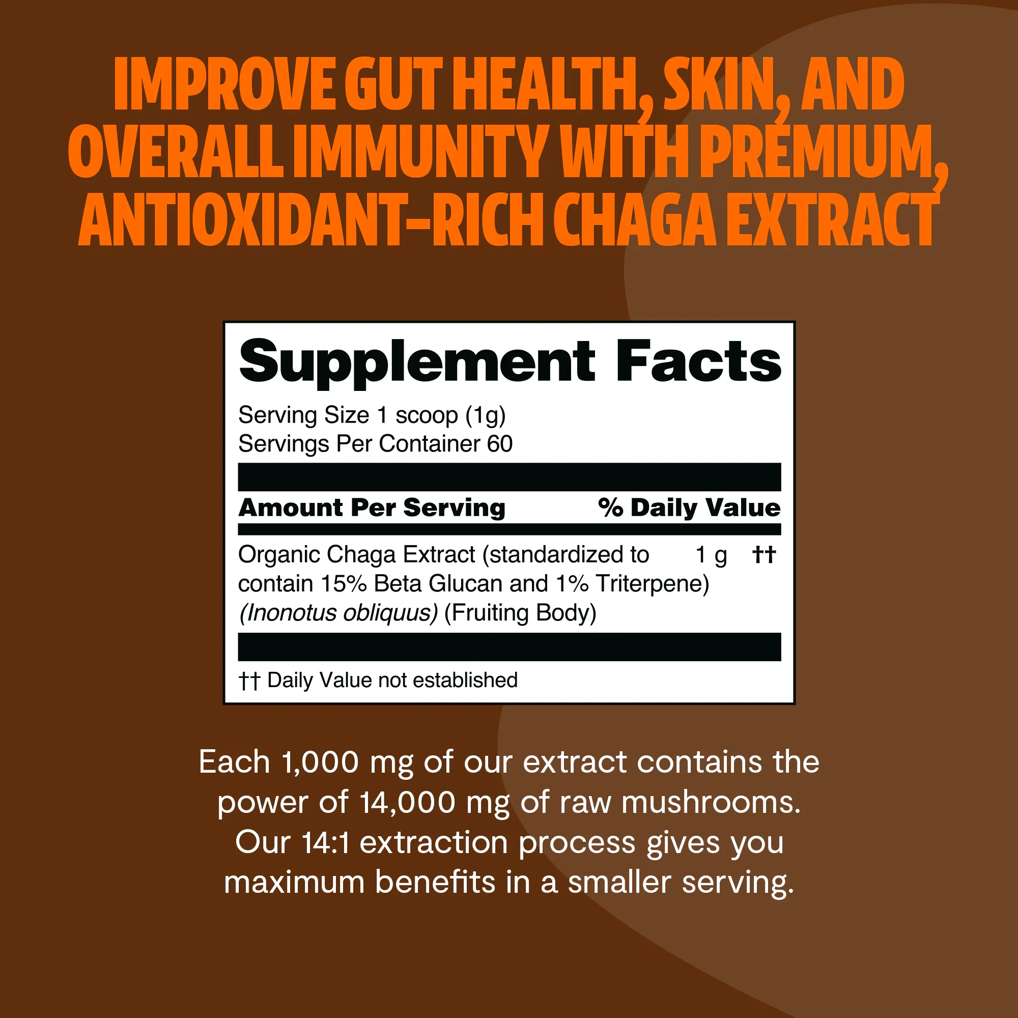 Chaga Mushroom Extract Powder - Image 10
