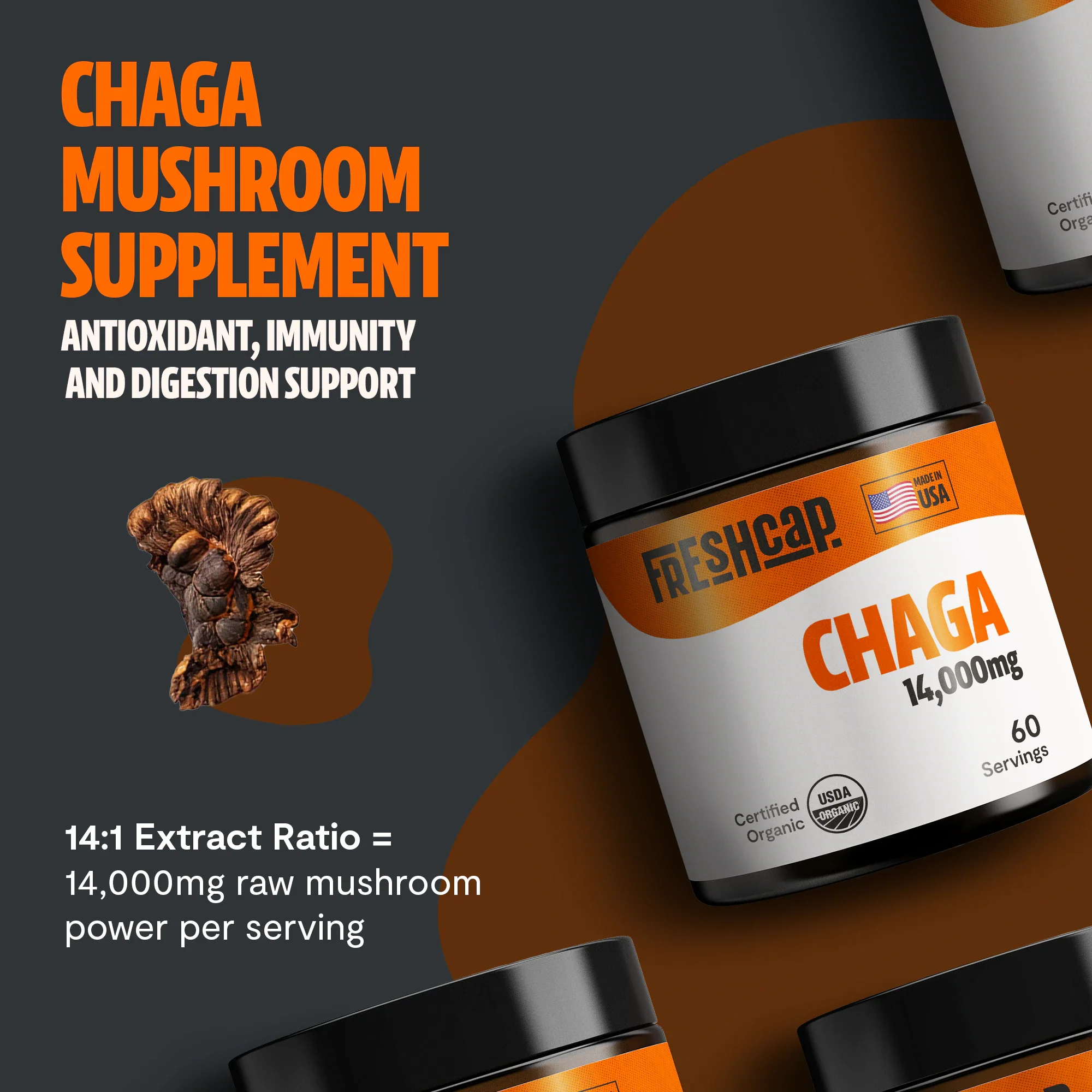 Chaga Mushroom Extract Powder - Image 11