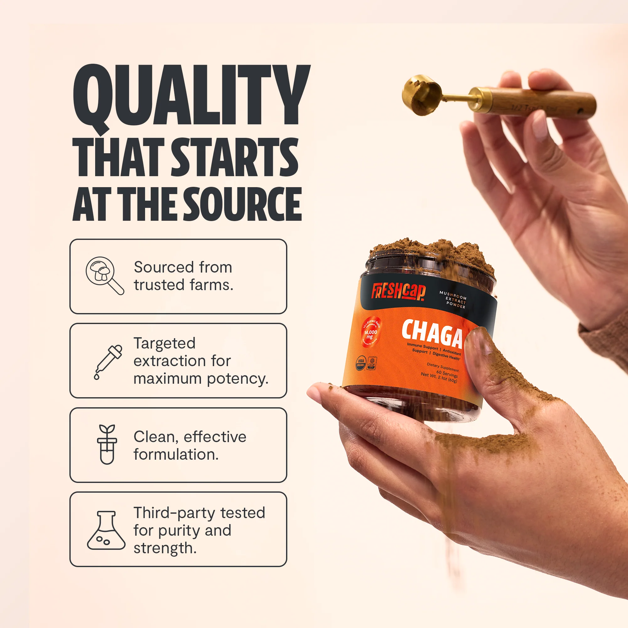 Chaga Mushroom Extract Powder - Image 3