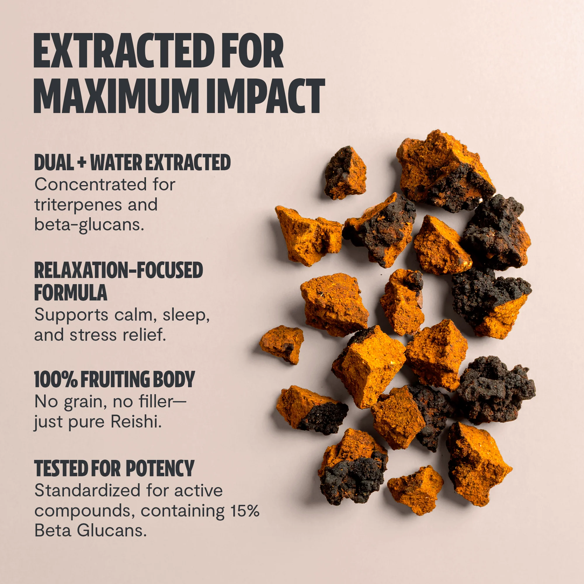 Chaga Mushroom Extract Powder - Image 4