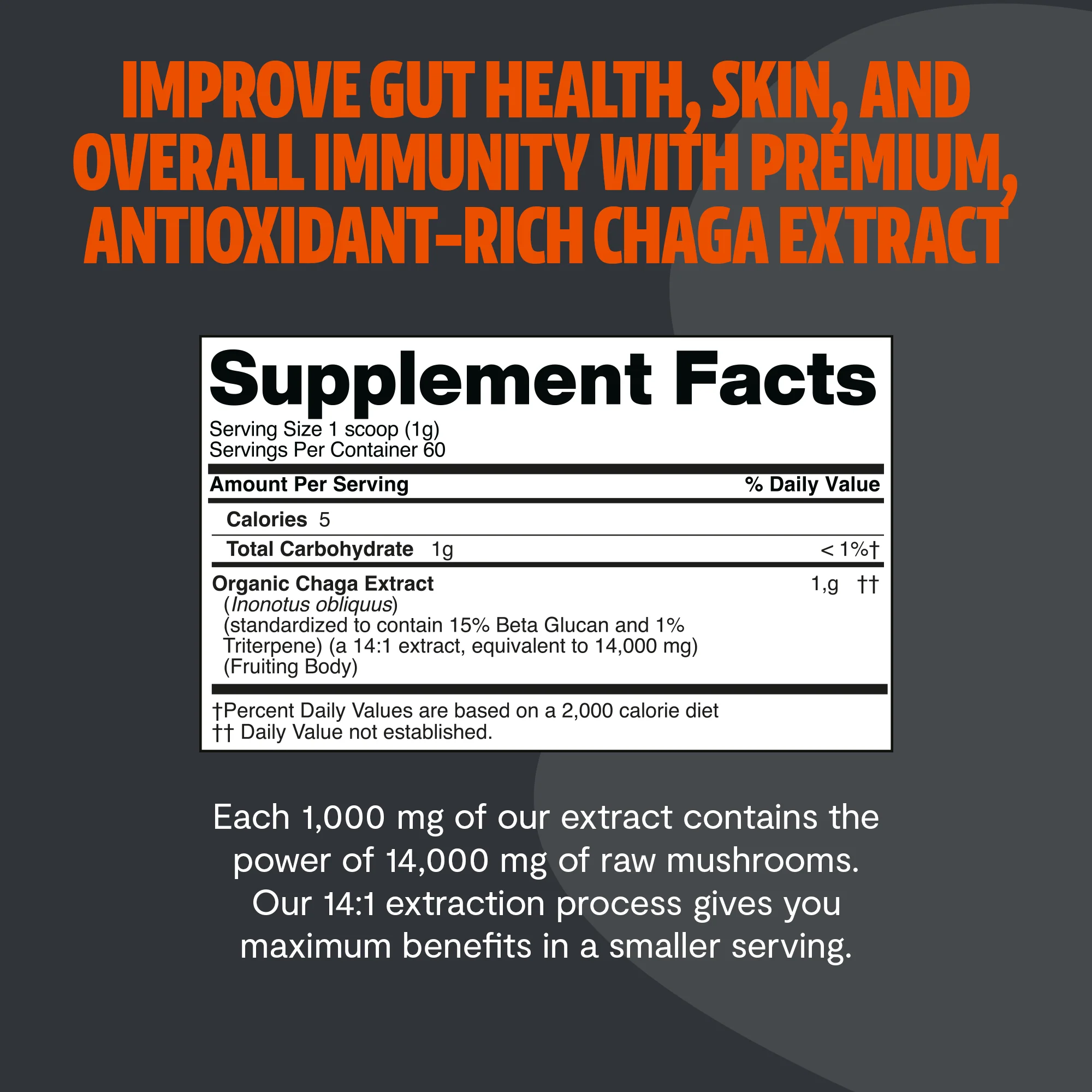 Chaga Mushroom Extract Powder - Image 5