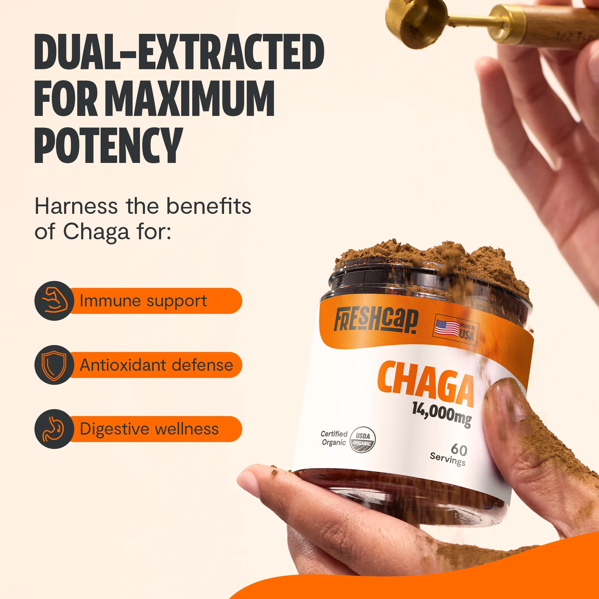 Chaga Mushroom Extract Powder - Image 8