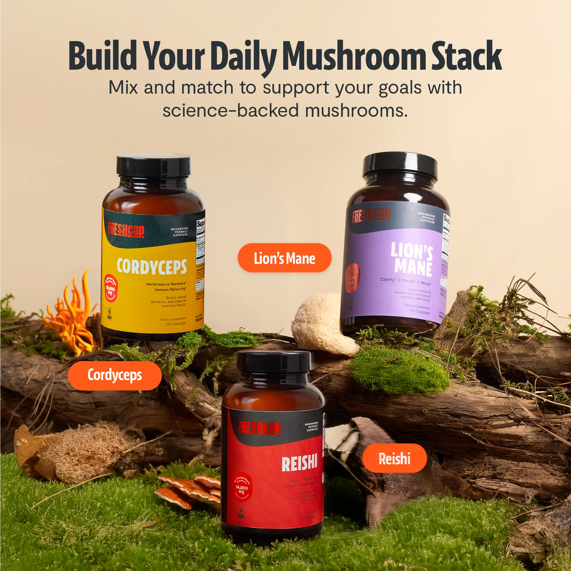 Cordyceps Mushroom Extract Capsules - Image 11