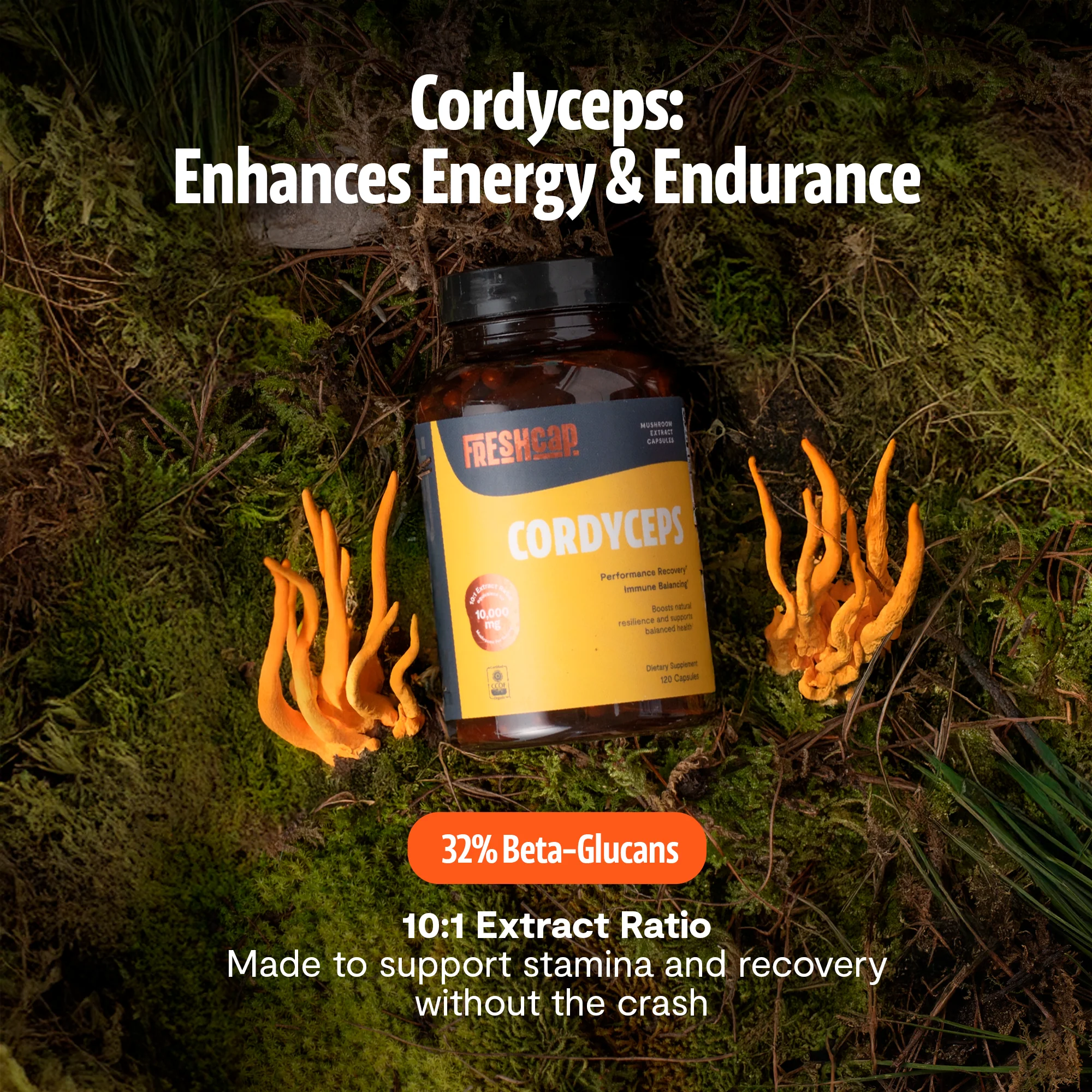Cordyceps Mushroom Extract Capsules - Image 12