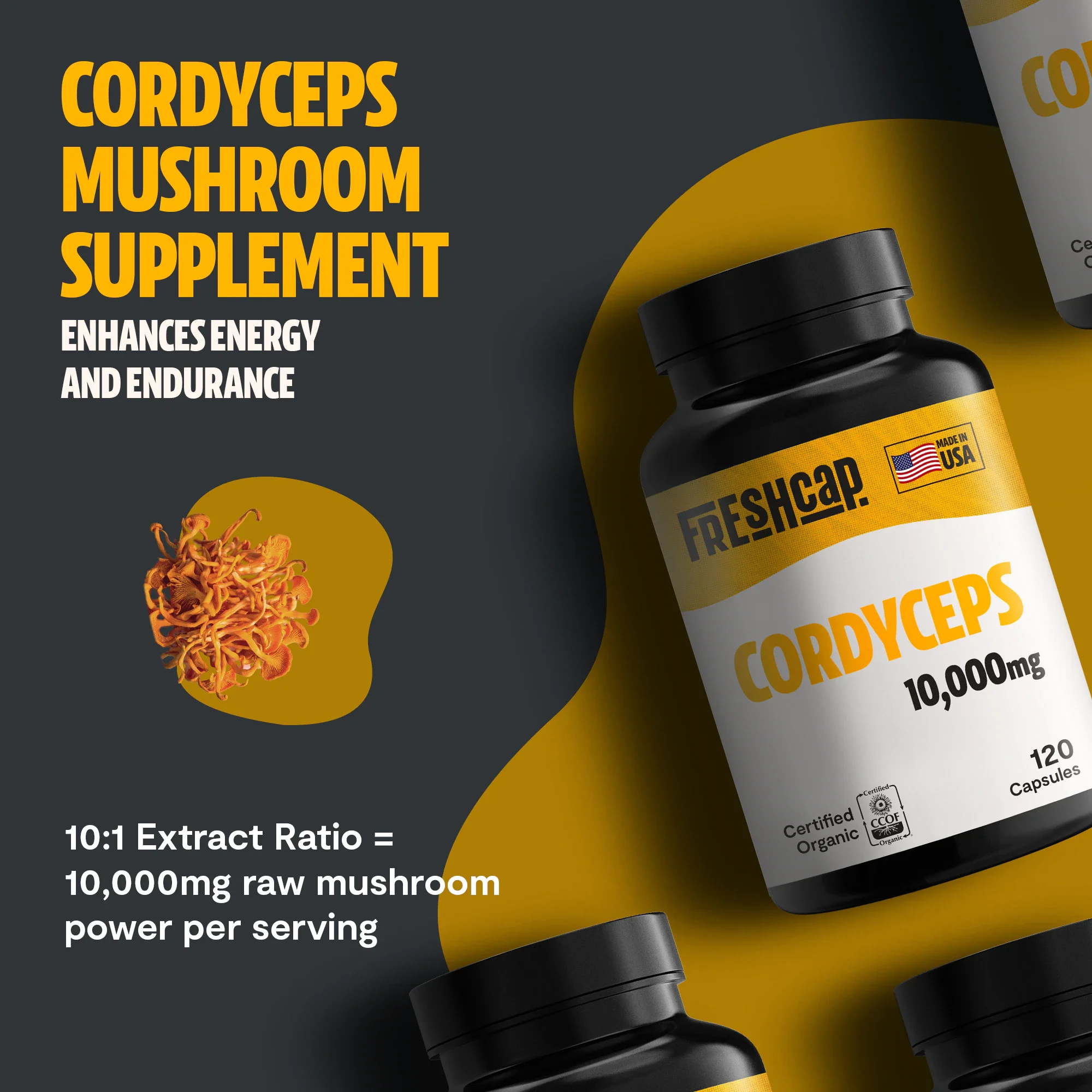Cordyceps Mushroom Extract Capsules - Image 4