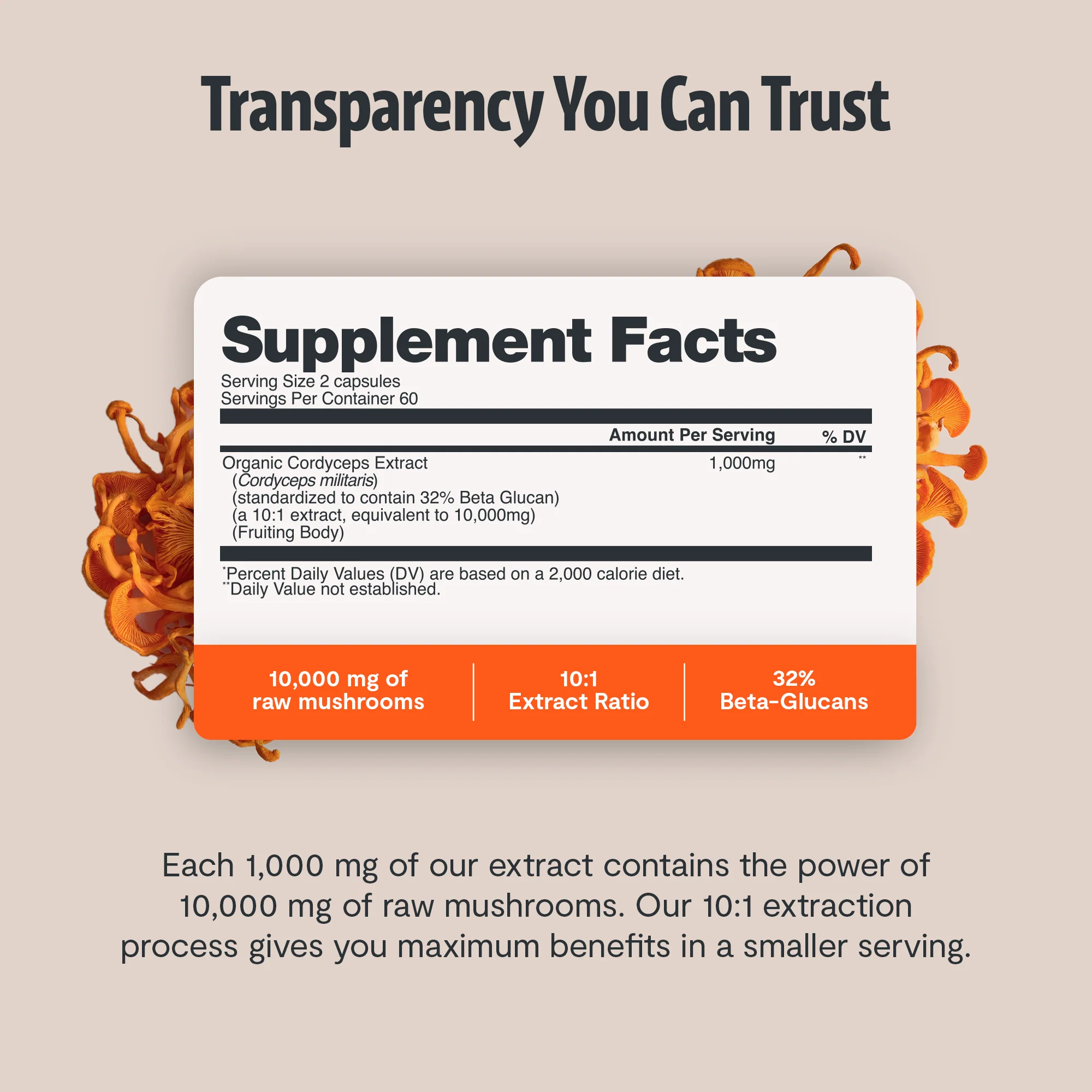 Cordyceps Mushroom Extract Capsules - Image 6