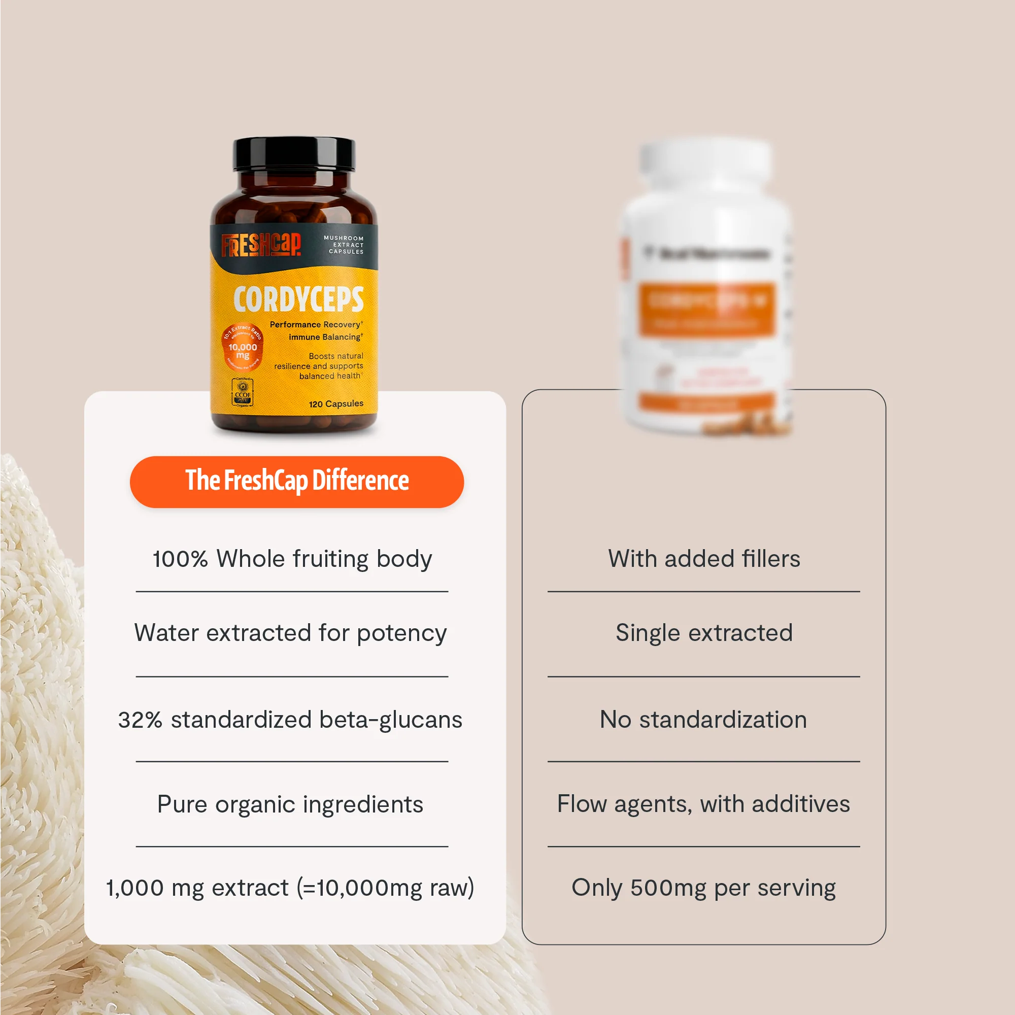 Cordyceps Mushroom Extract Capsules - Image 7