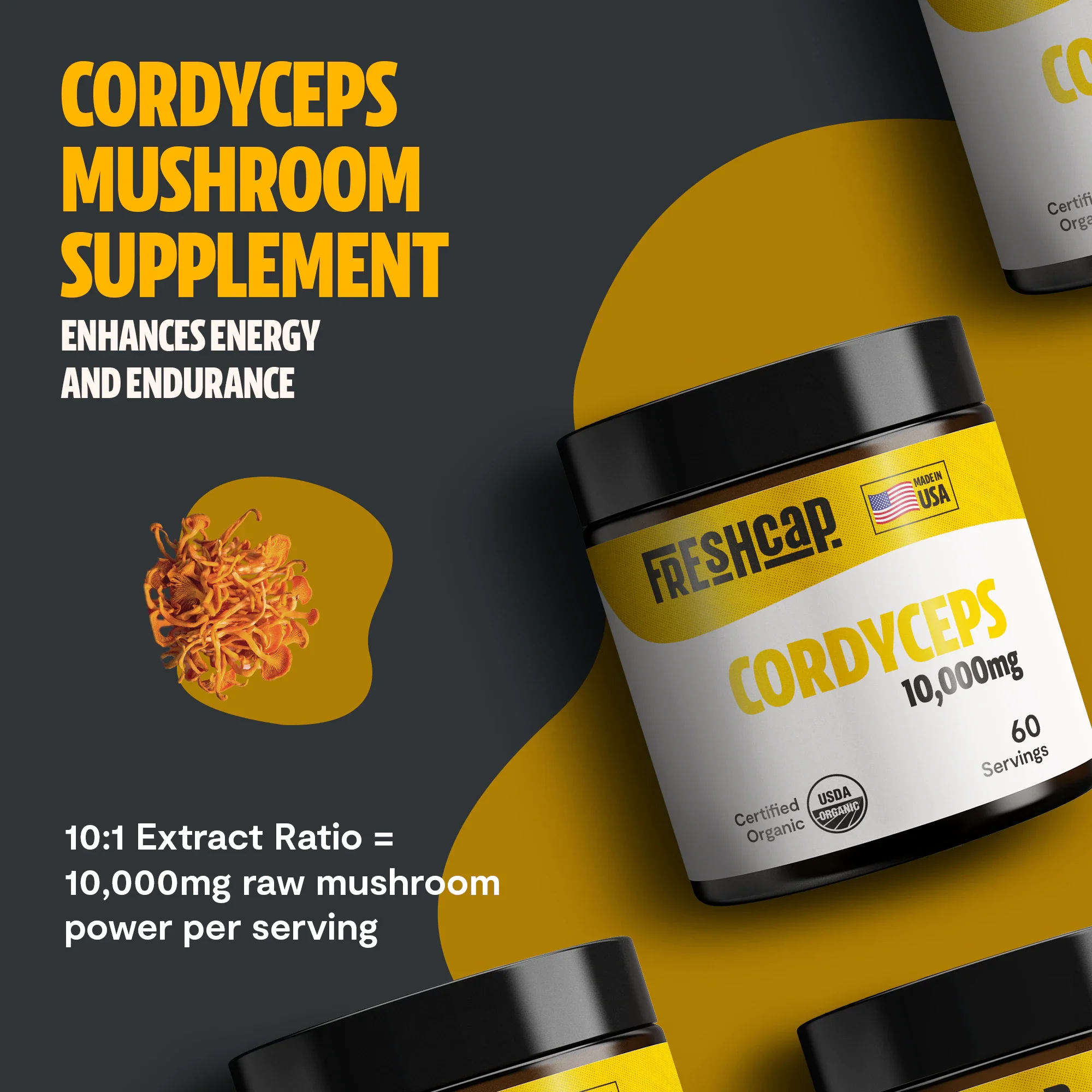 Cordyceps Mushroom Extract Powder - Image 12