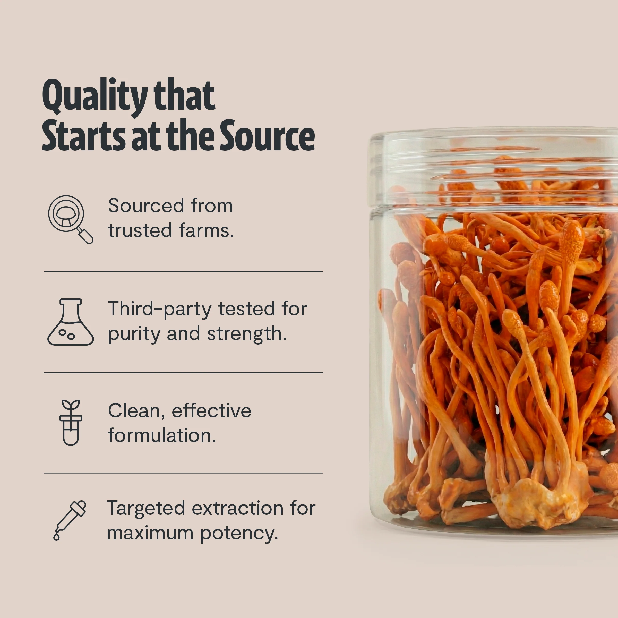 Cordyceps Mushroom Extract Powder - Image 16