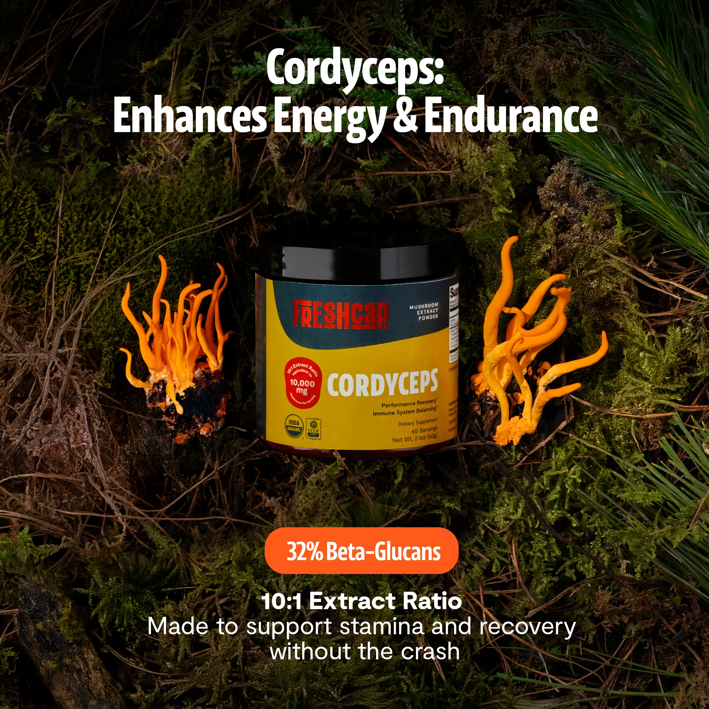 Cordyceps Mushroom Extract Powder - Image 20