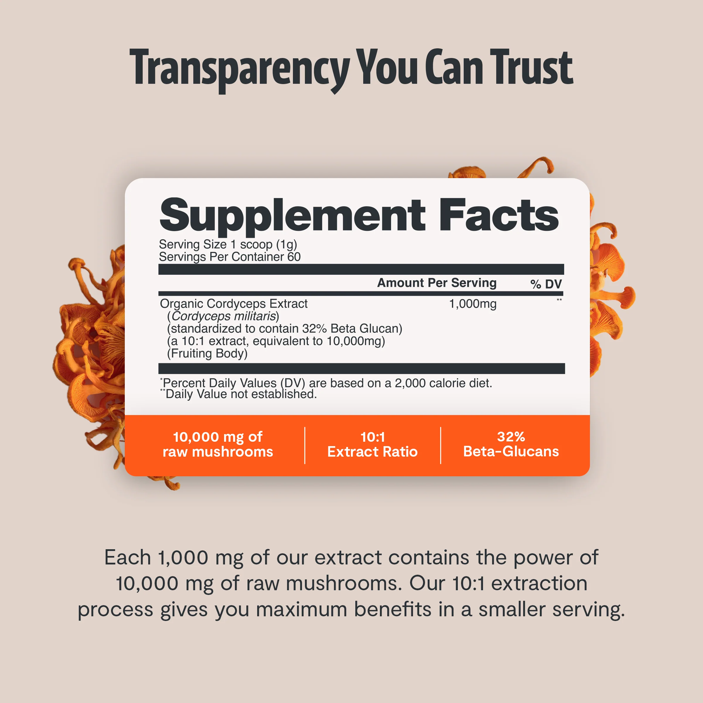 Cordyceps Mushroom Extract Powder - Image 21