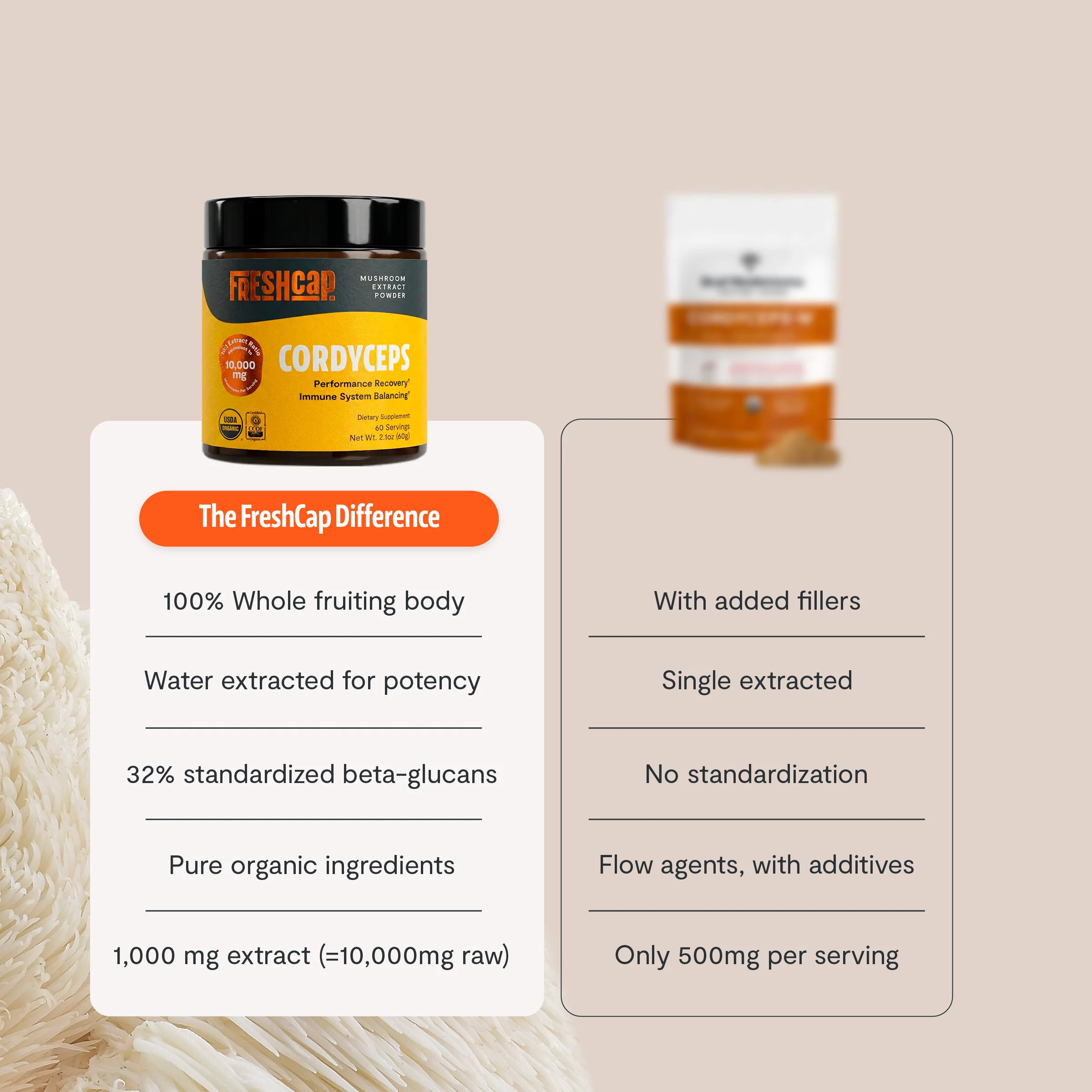 Cordyceps Mushroom Extract Powder - Image 22