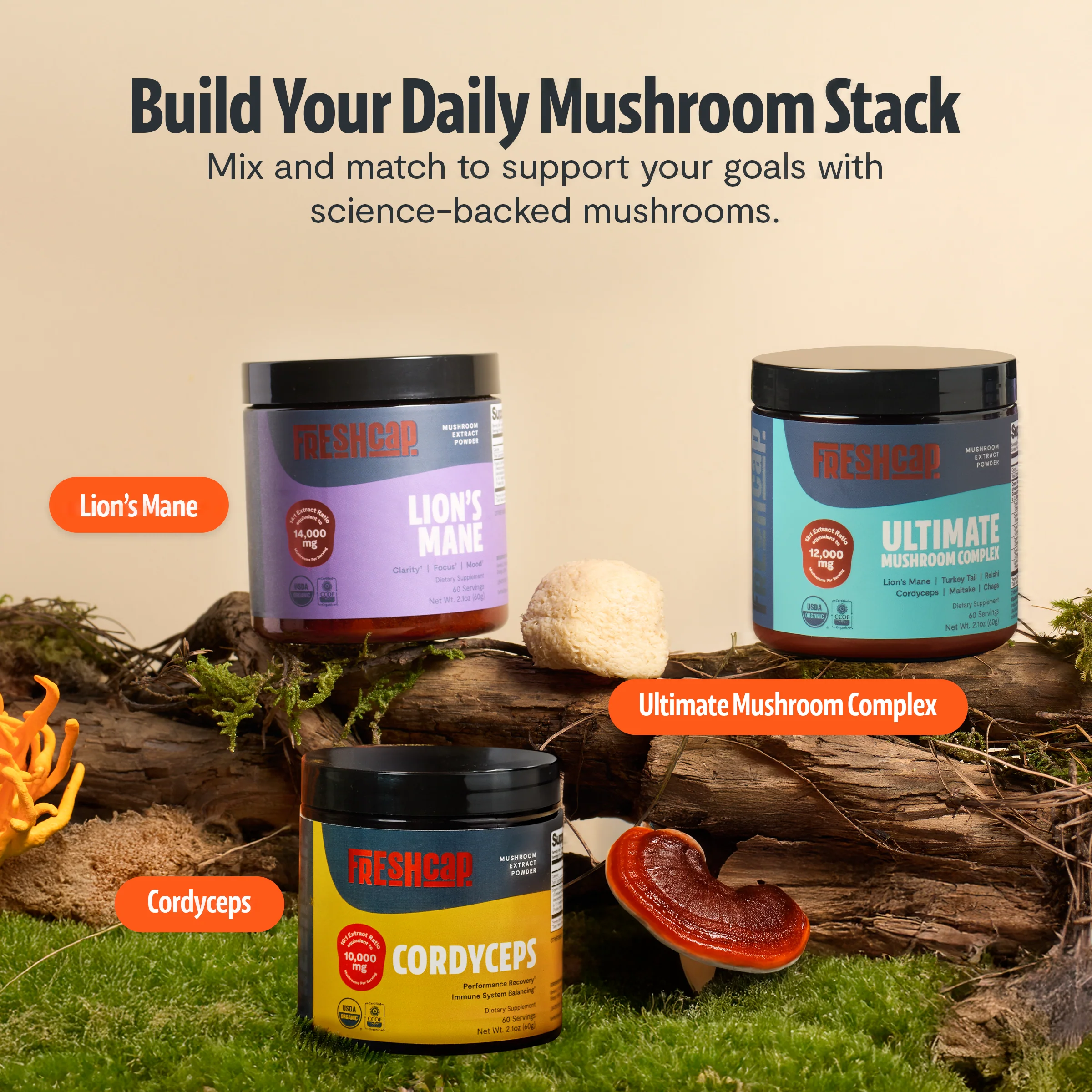 Cordyceps Mushroom Extract Powder - Image 26