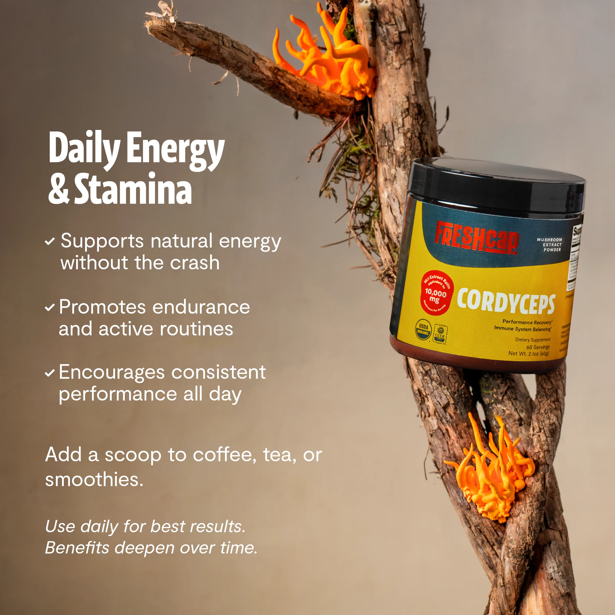 Cordyceps Mushroom Extract Powder - Image 28