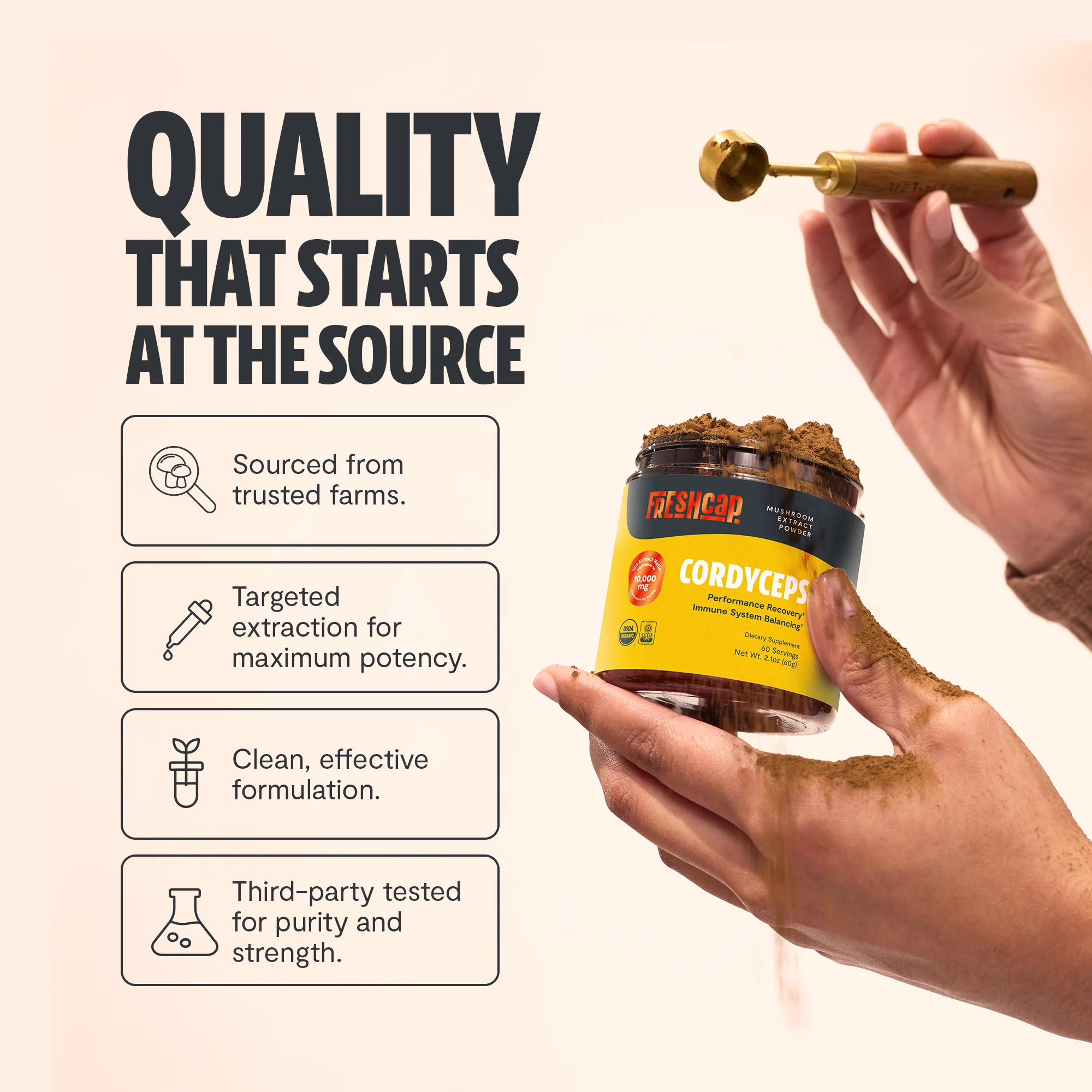 Cordyceps Mushroom Extract Powder - Image 5