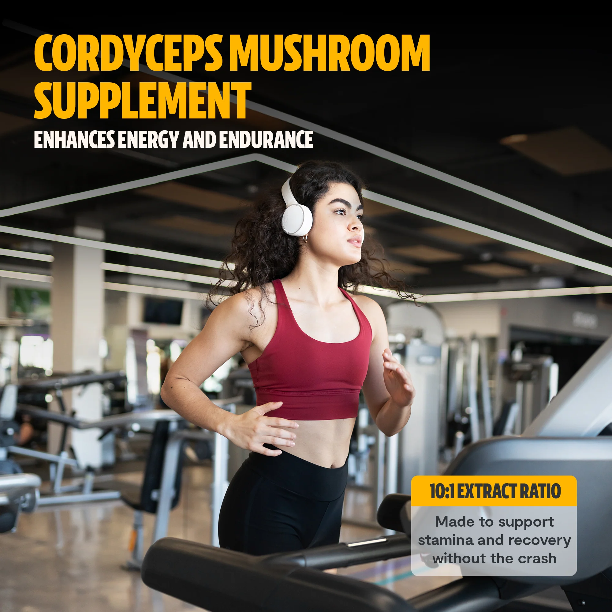 Cordyceps Mushroom Extract Powder - Image 8