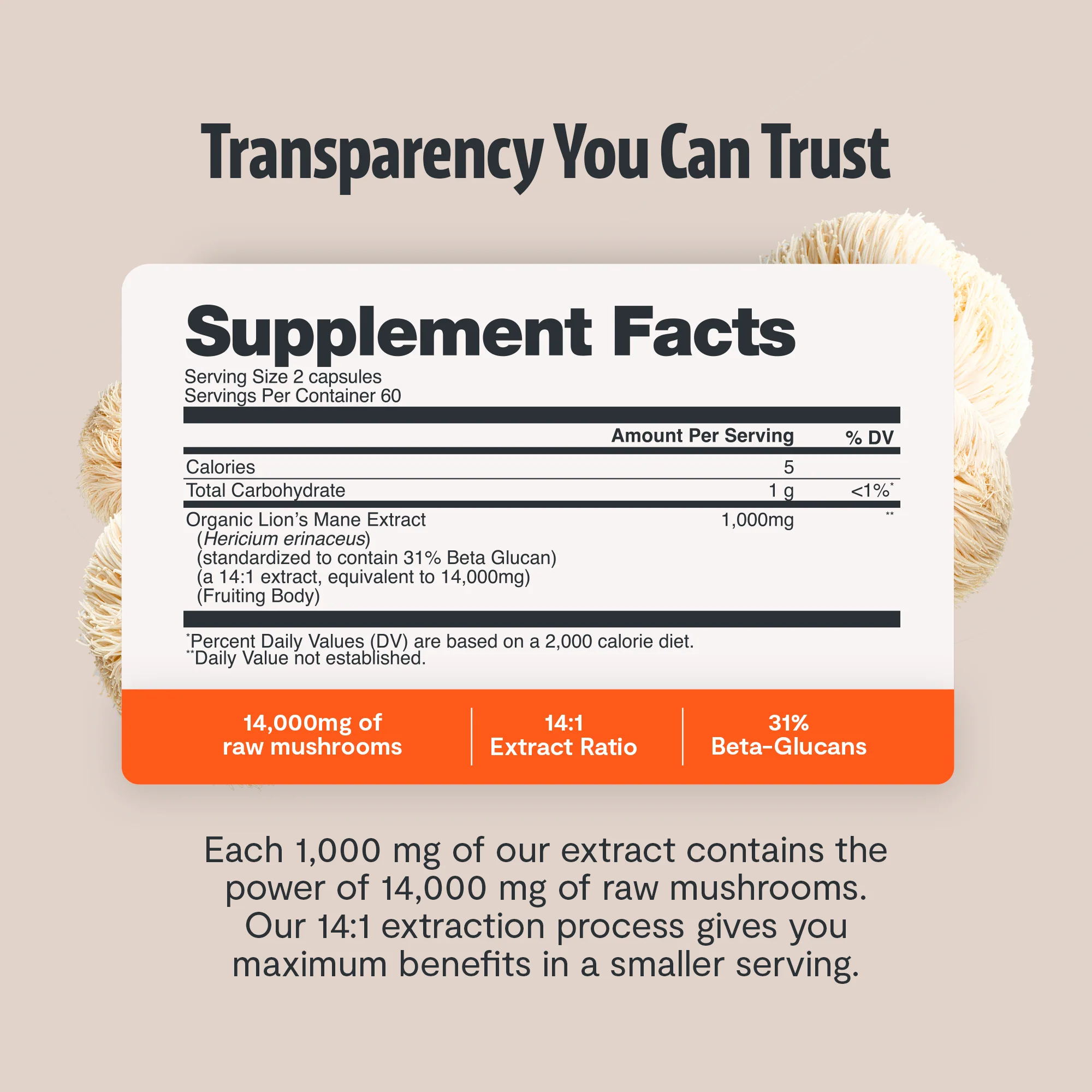 Lion's Mane Mushroom Extract Capsules - Image 10