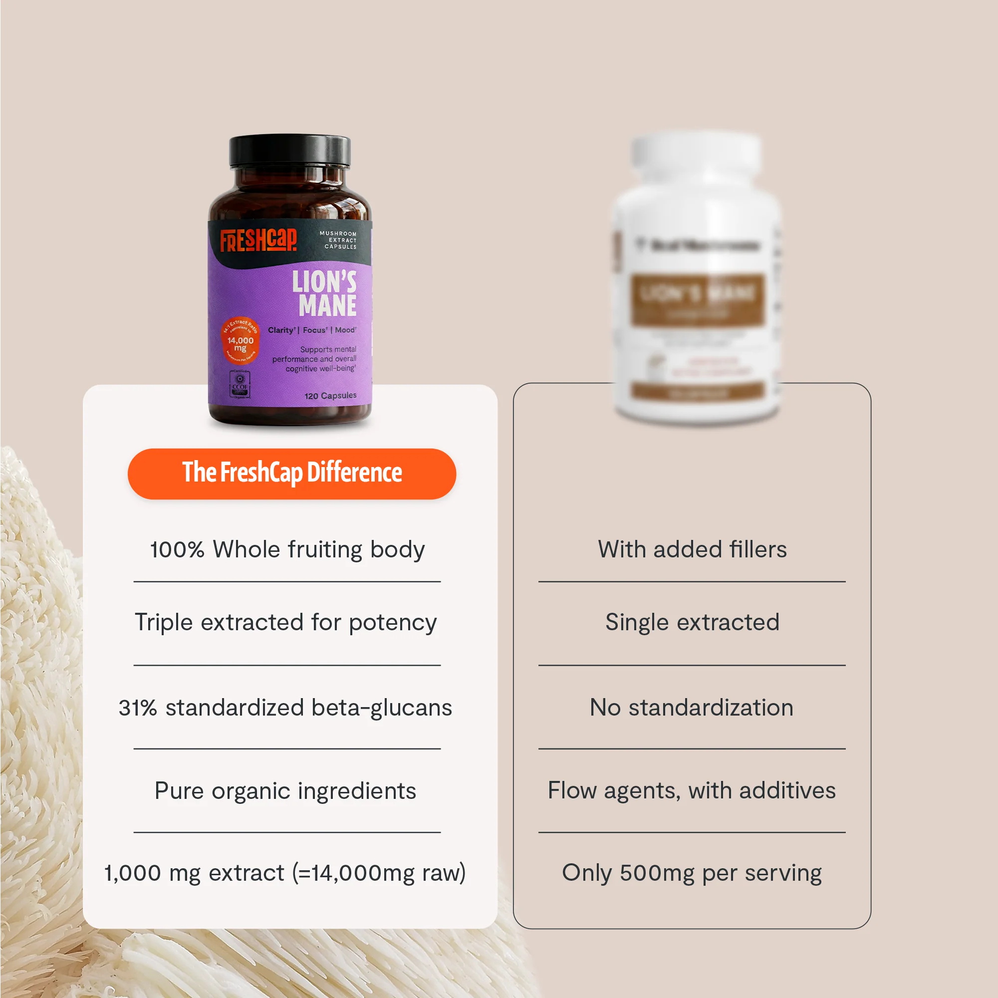 Lion's Mane Mushroom Extract Capsules - Image 11