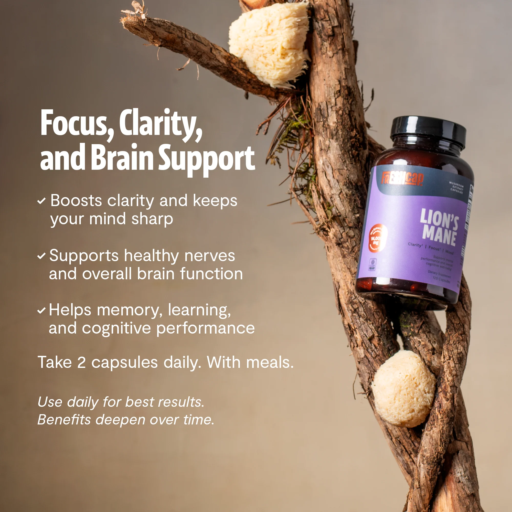 Lion's Mane Mushroom Extract Capsules - Image 15