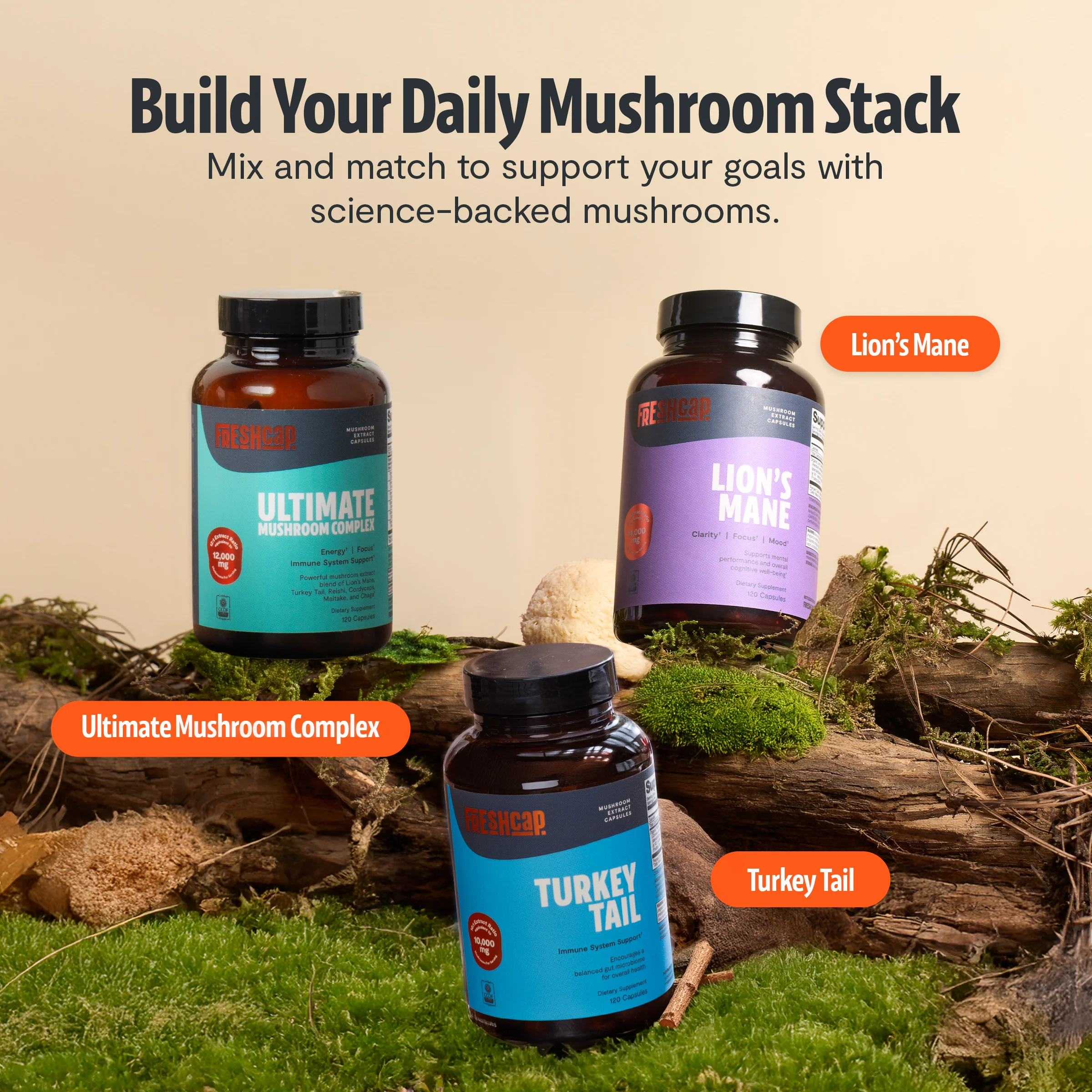 Lion's Mane Mushroom Extract Capsules - Image 16