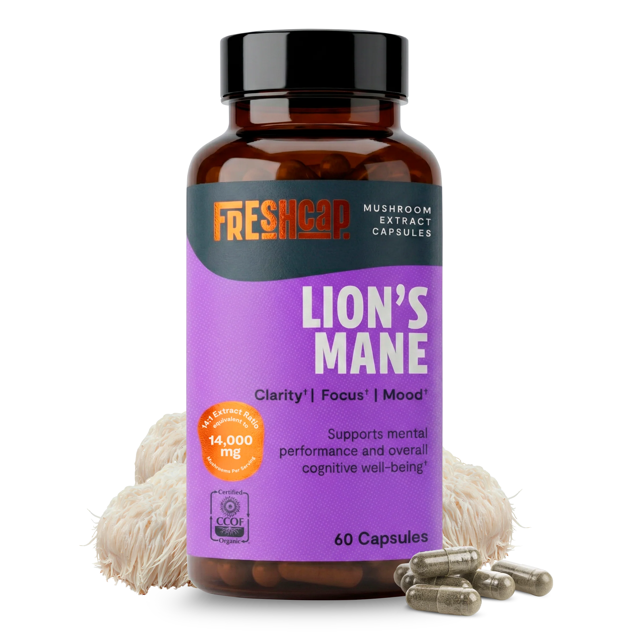 Lion's Mane Mushroom Extract Capsules - Image 18