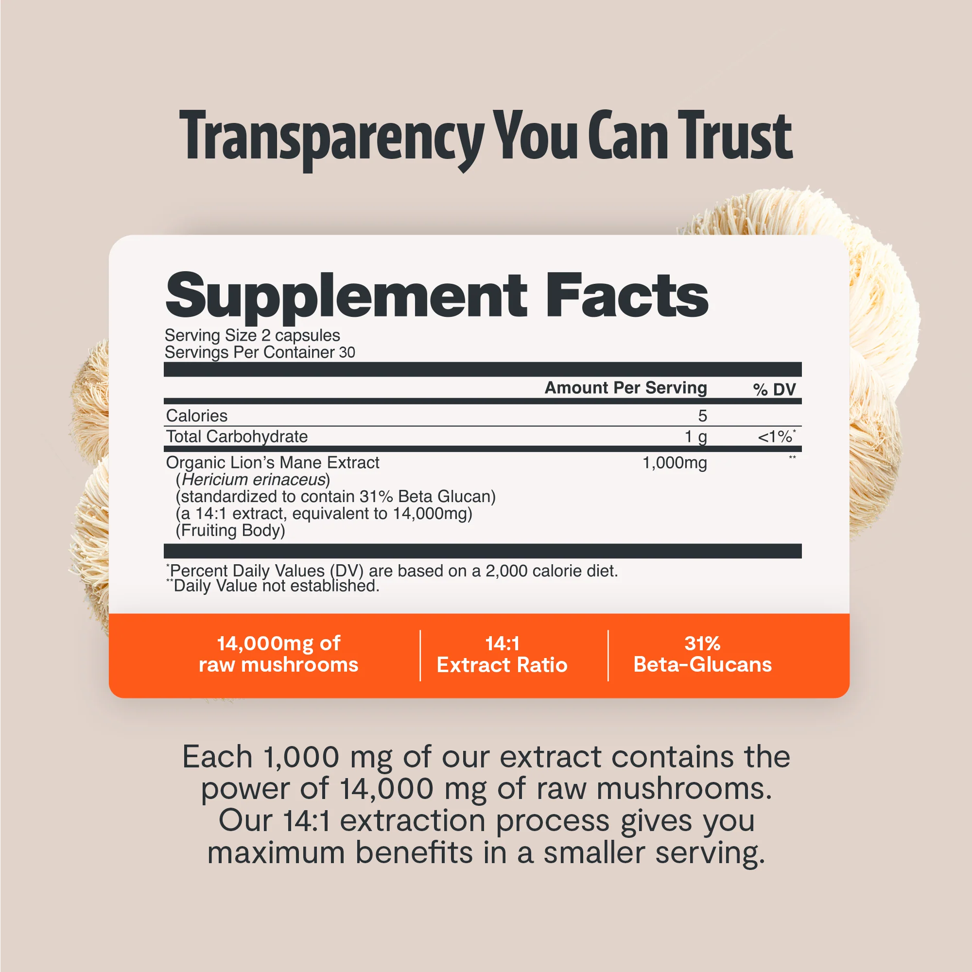 Lion's Mane Mushroom Extract Capsules - Image 3