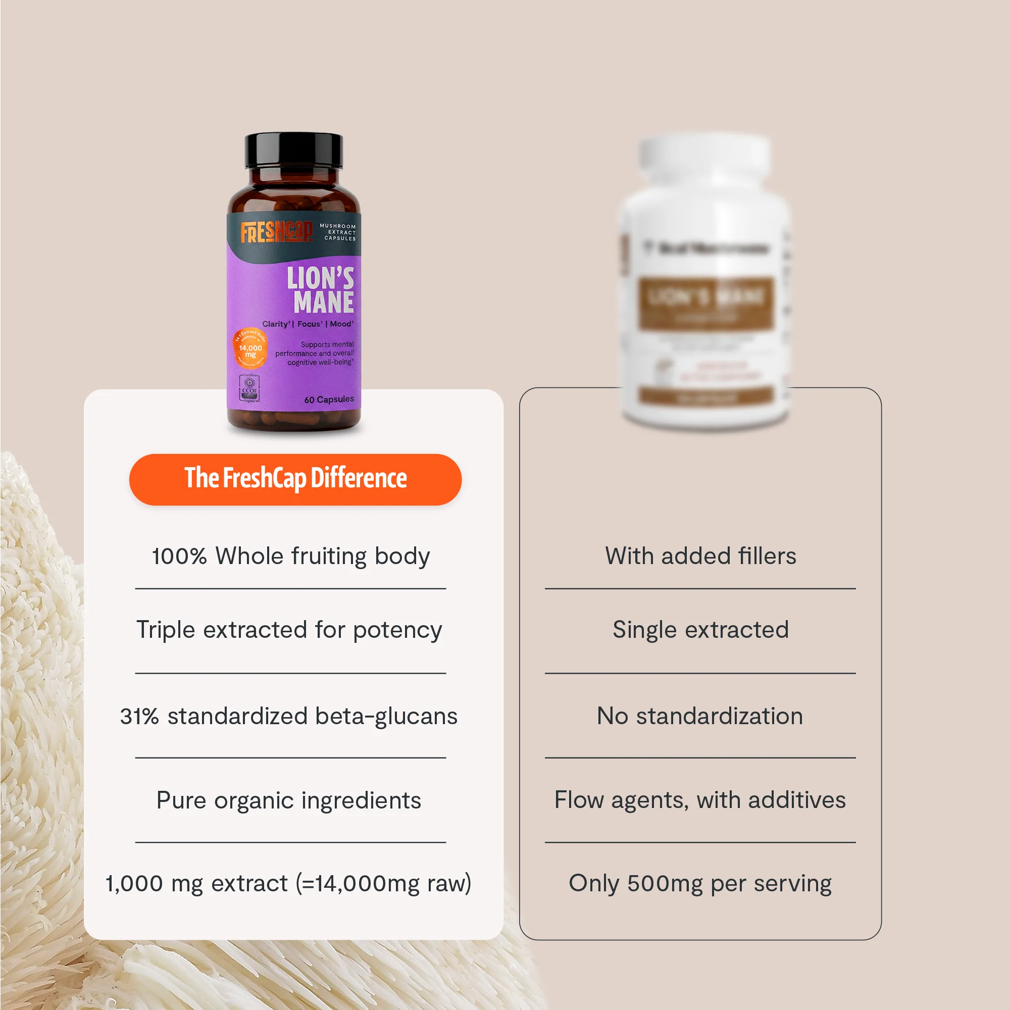 Lion's Mane Mushroom Extract Capsules - Image 4