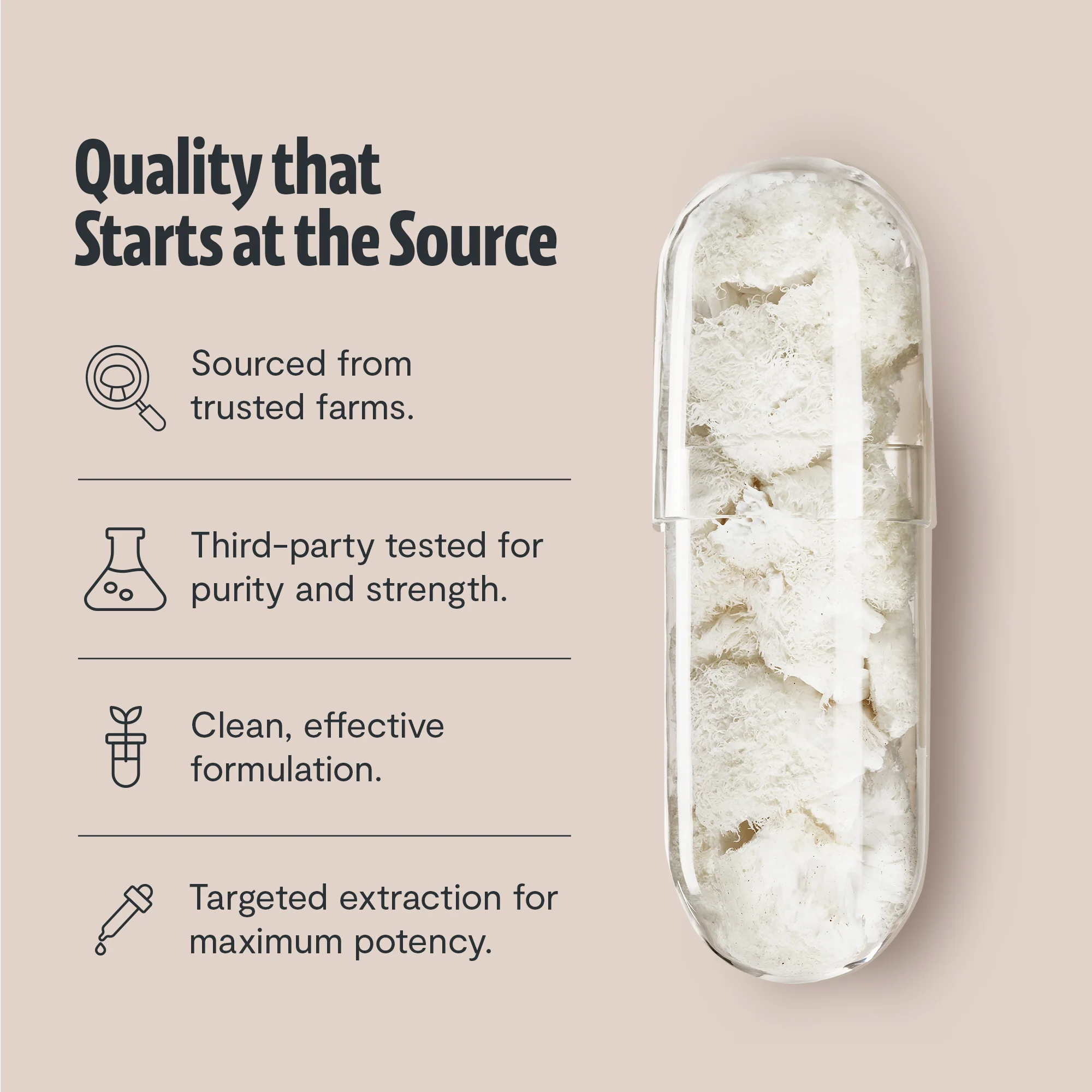 Lion's Mane Mushroom Extract Capsules - Image 5