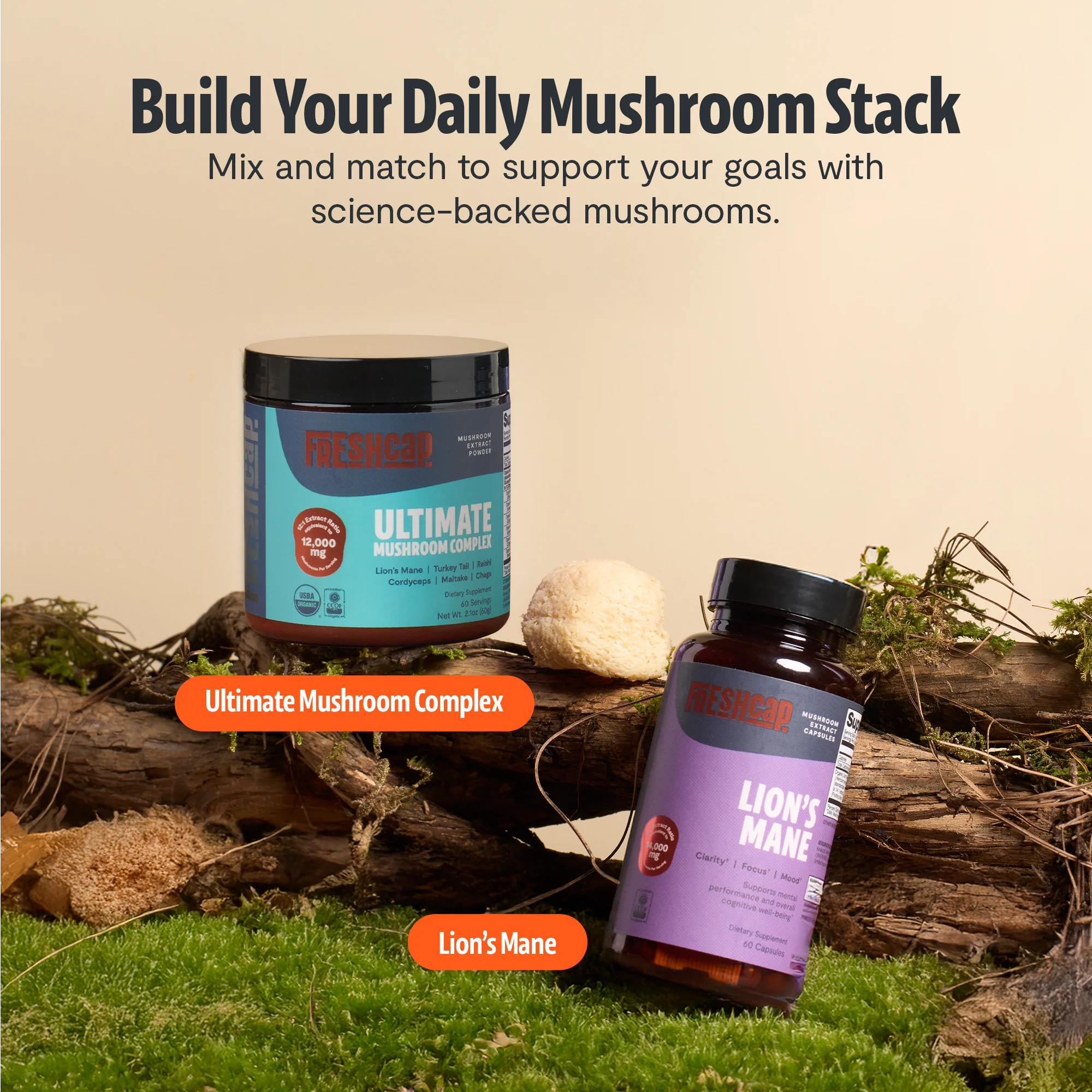 Lion's Mane Mushroom Extract Capsules - Image 7