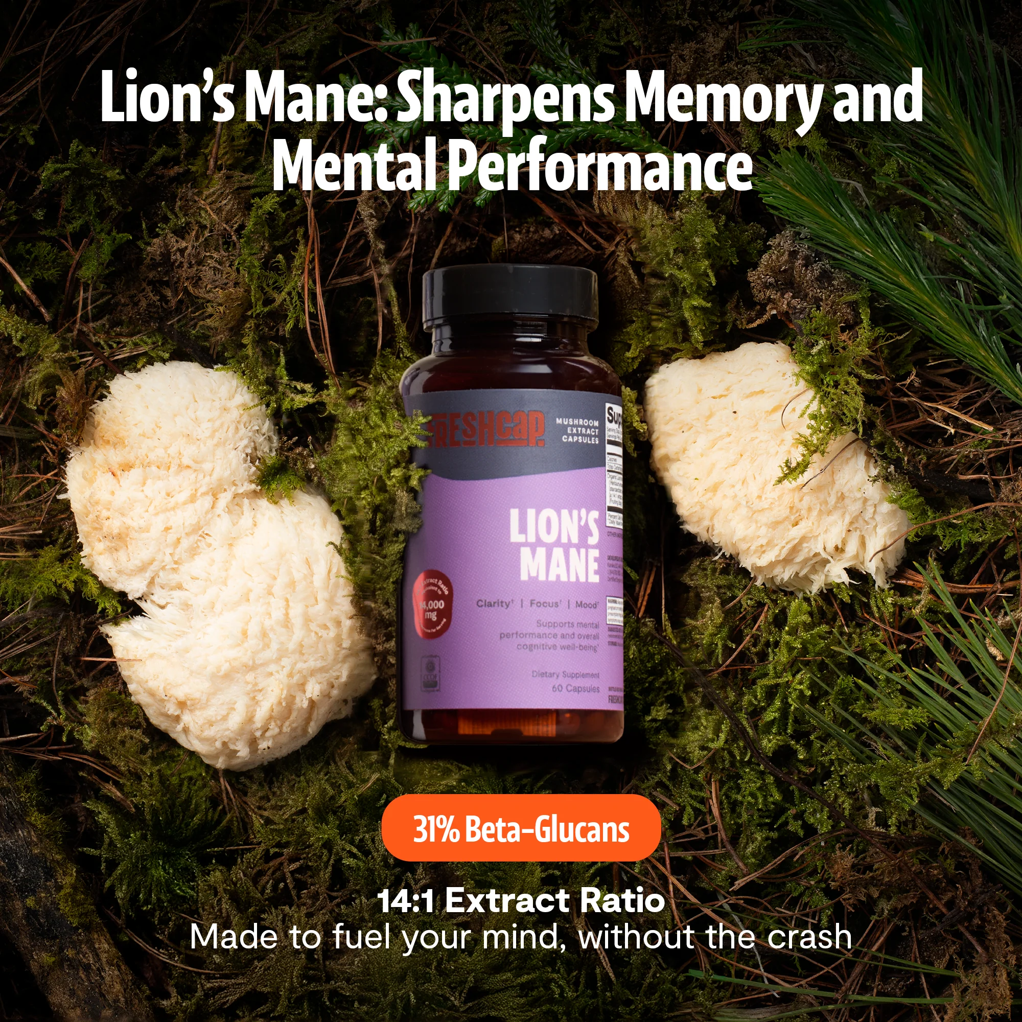 Lion's Mane Mushroom Extract Capsules - Image 8