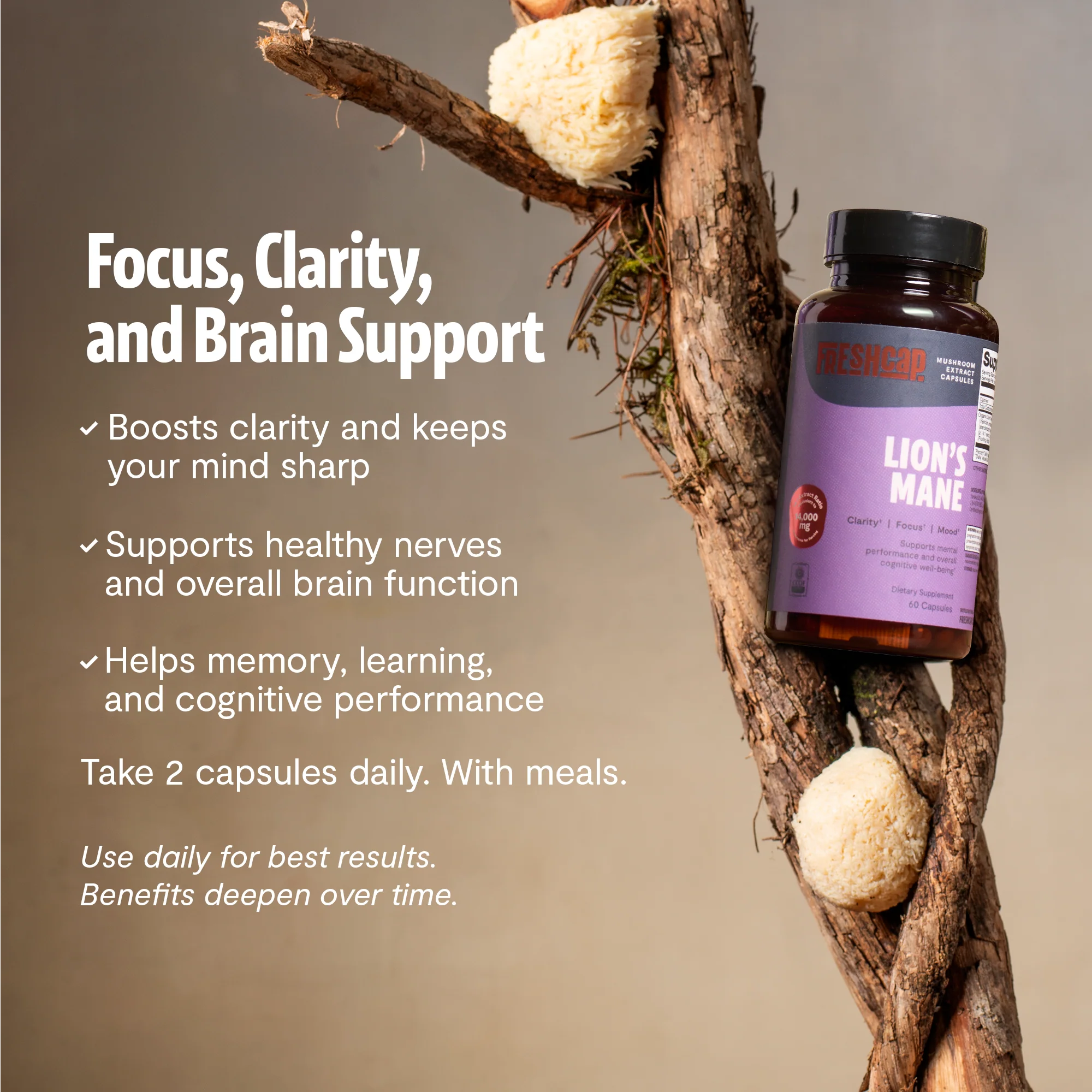 Lion's Mane Mushroom Extract Capsules - Image 9
