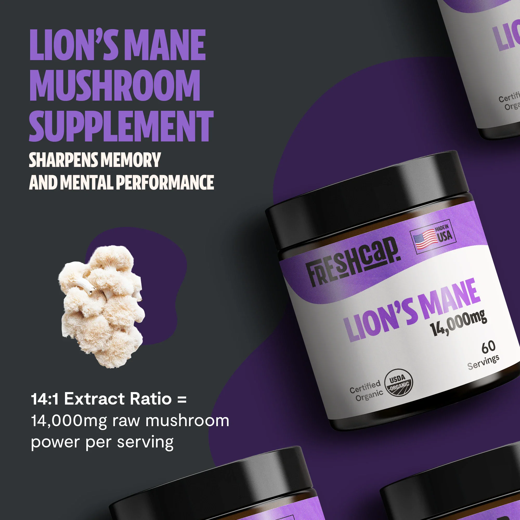 Lion's Mane Mushroom Extract Powder - Image 11