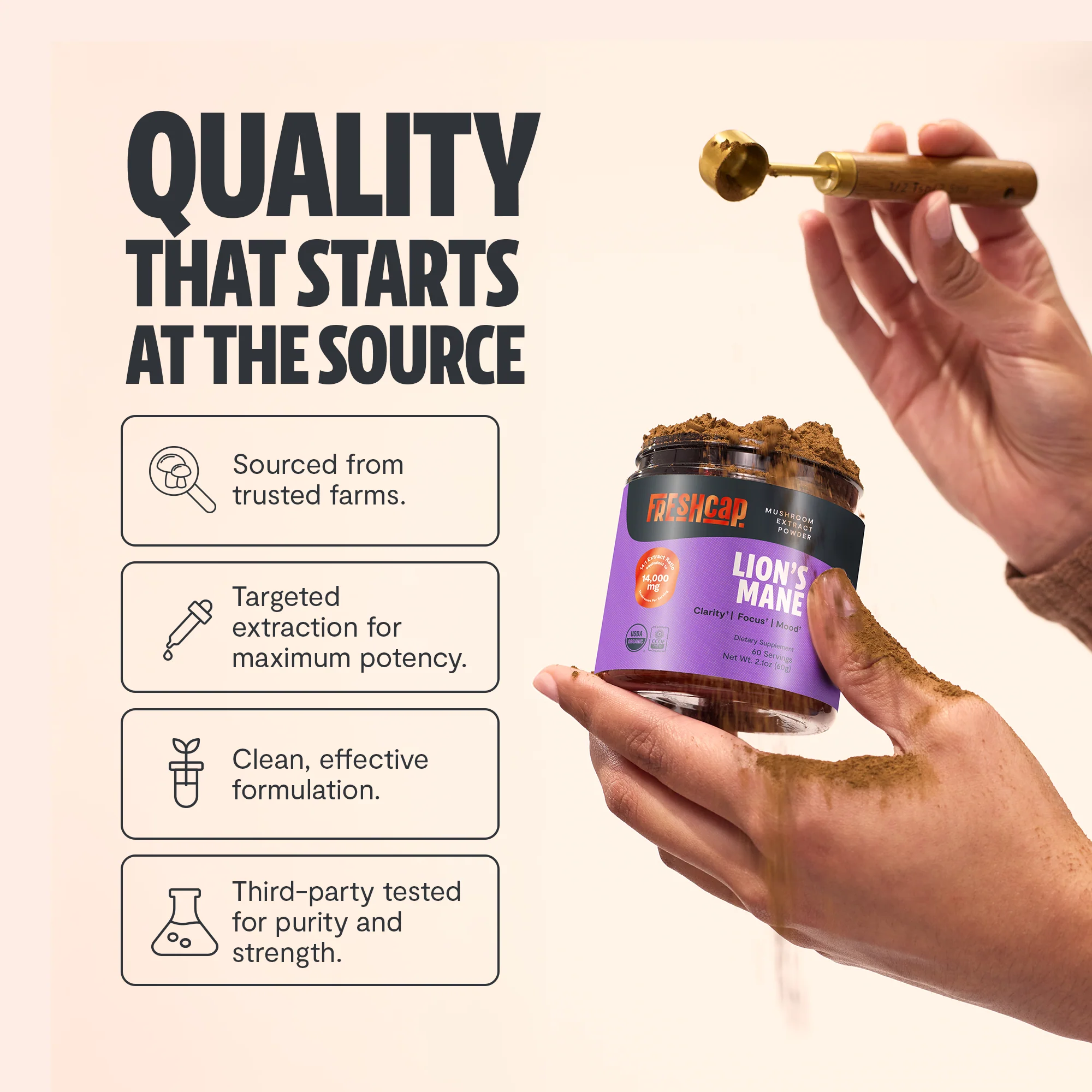 Lion's Mane Mushroom Extract Powder - Image 3