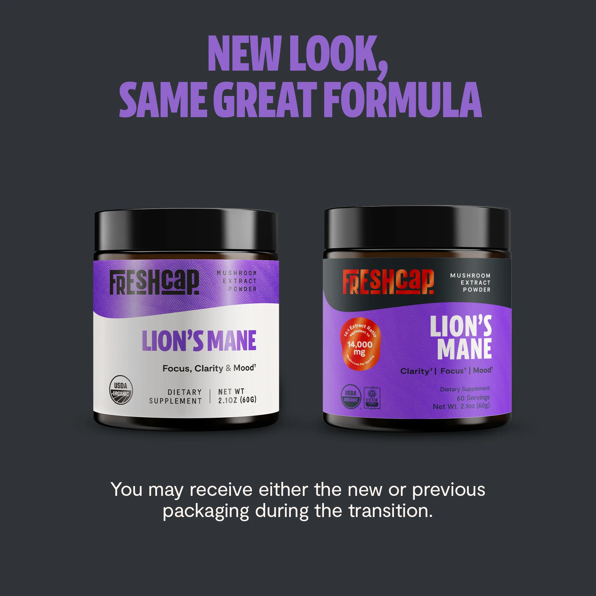 Lion's Mane Mushroom Extract Powder - Image 4