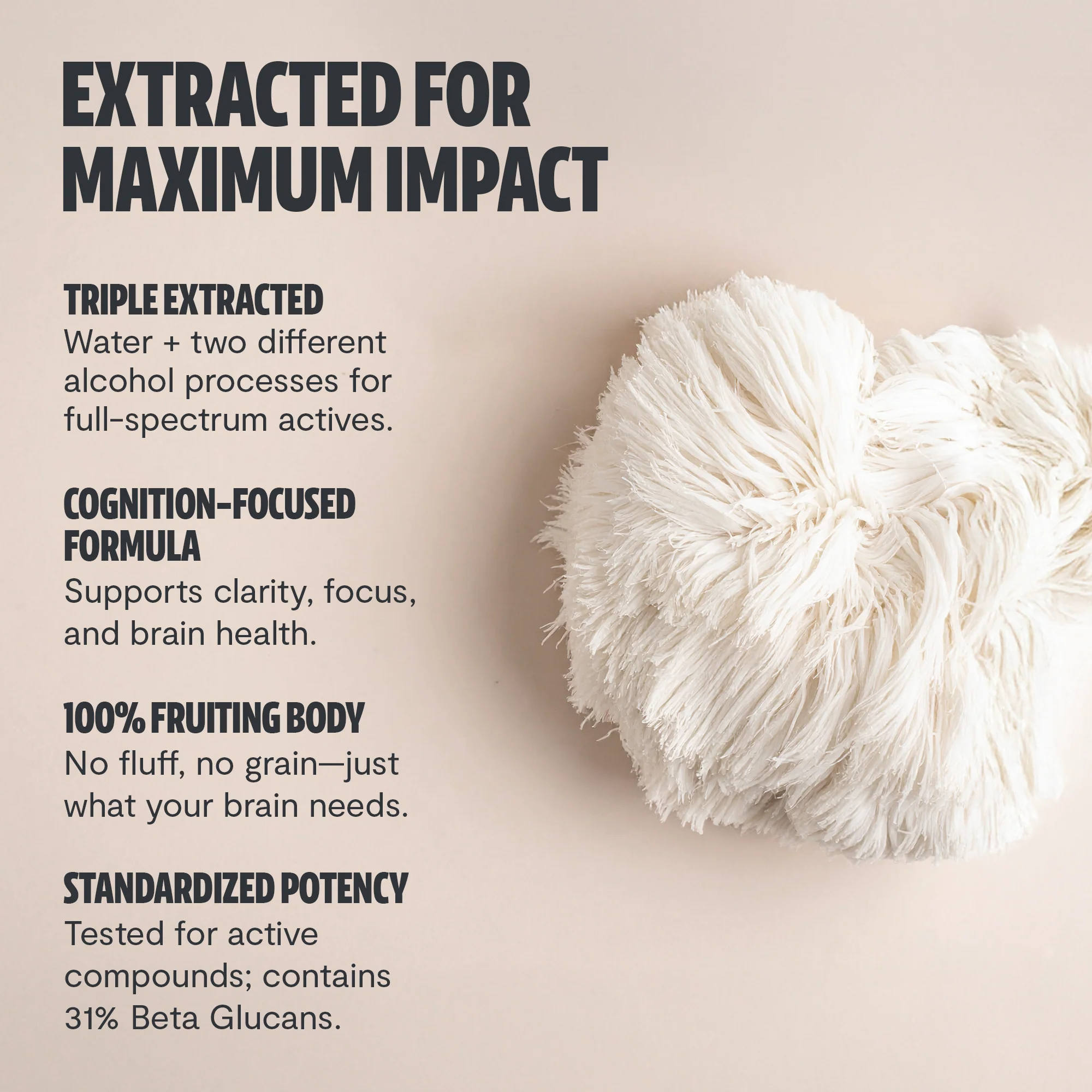 Lion's Mane Mushroom Extract Powder - Image 5