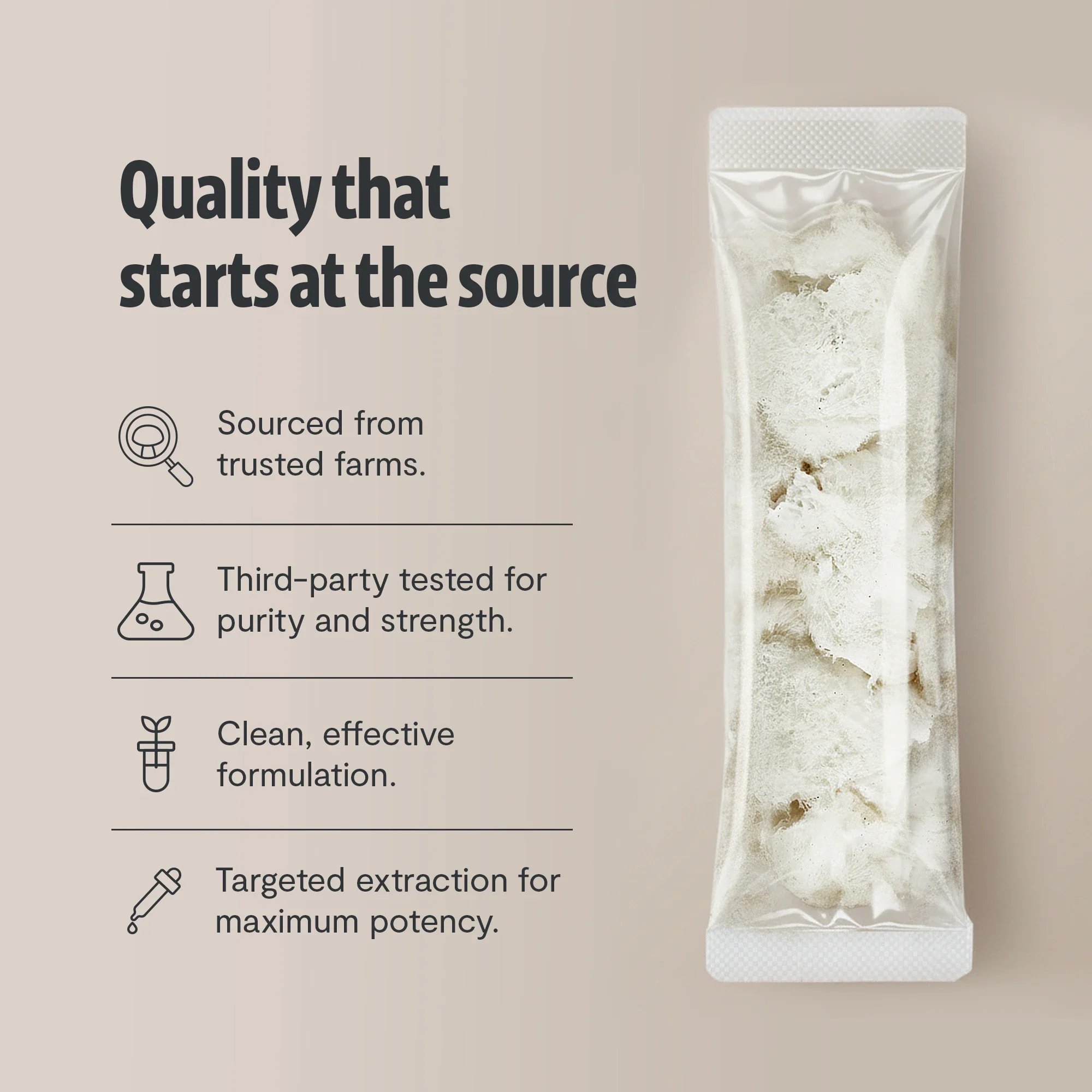 Lion's Mane Stick Packs - Image 9