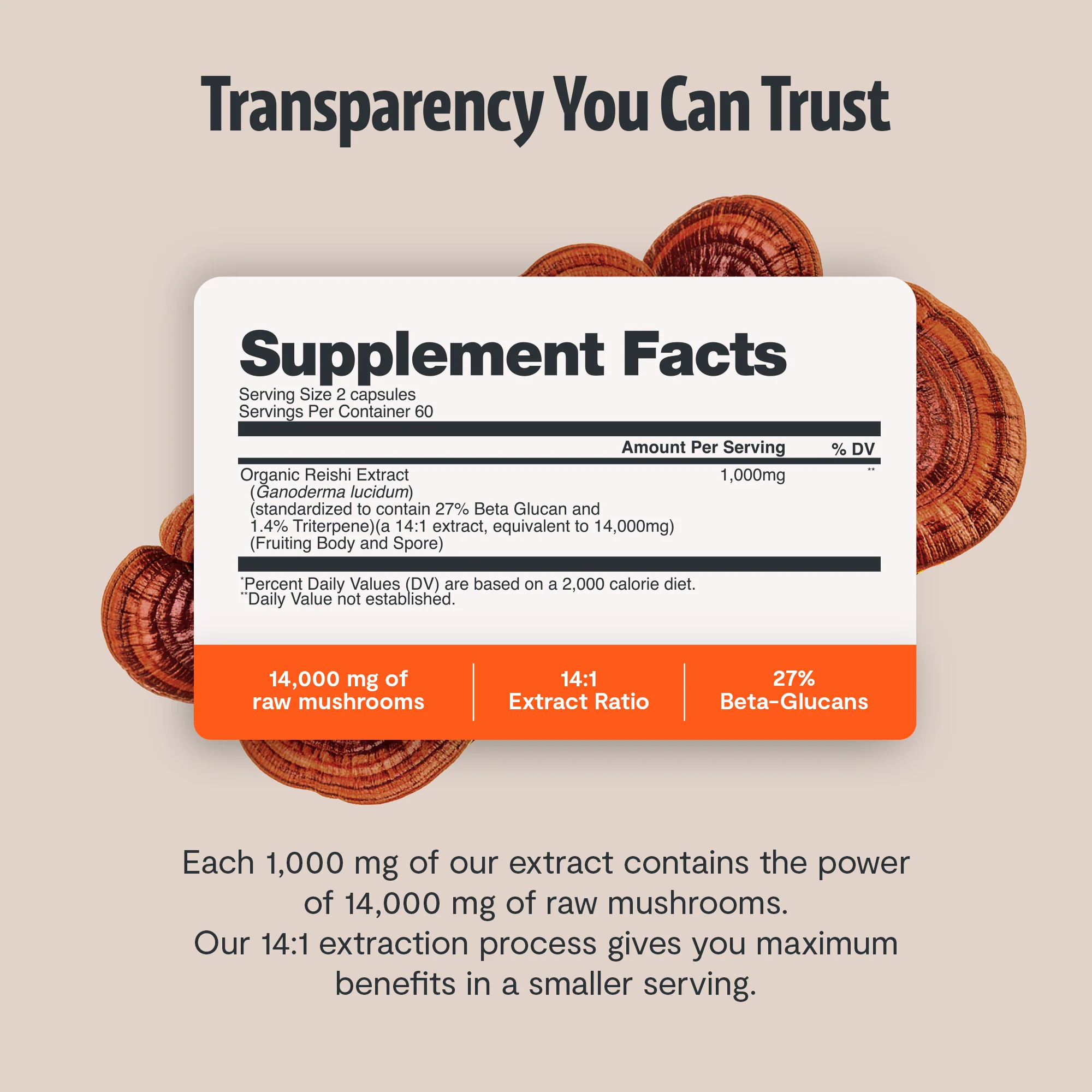 Reishi Mushroom Extract Capsules - Image 3