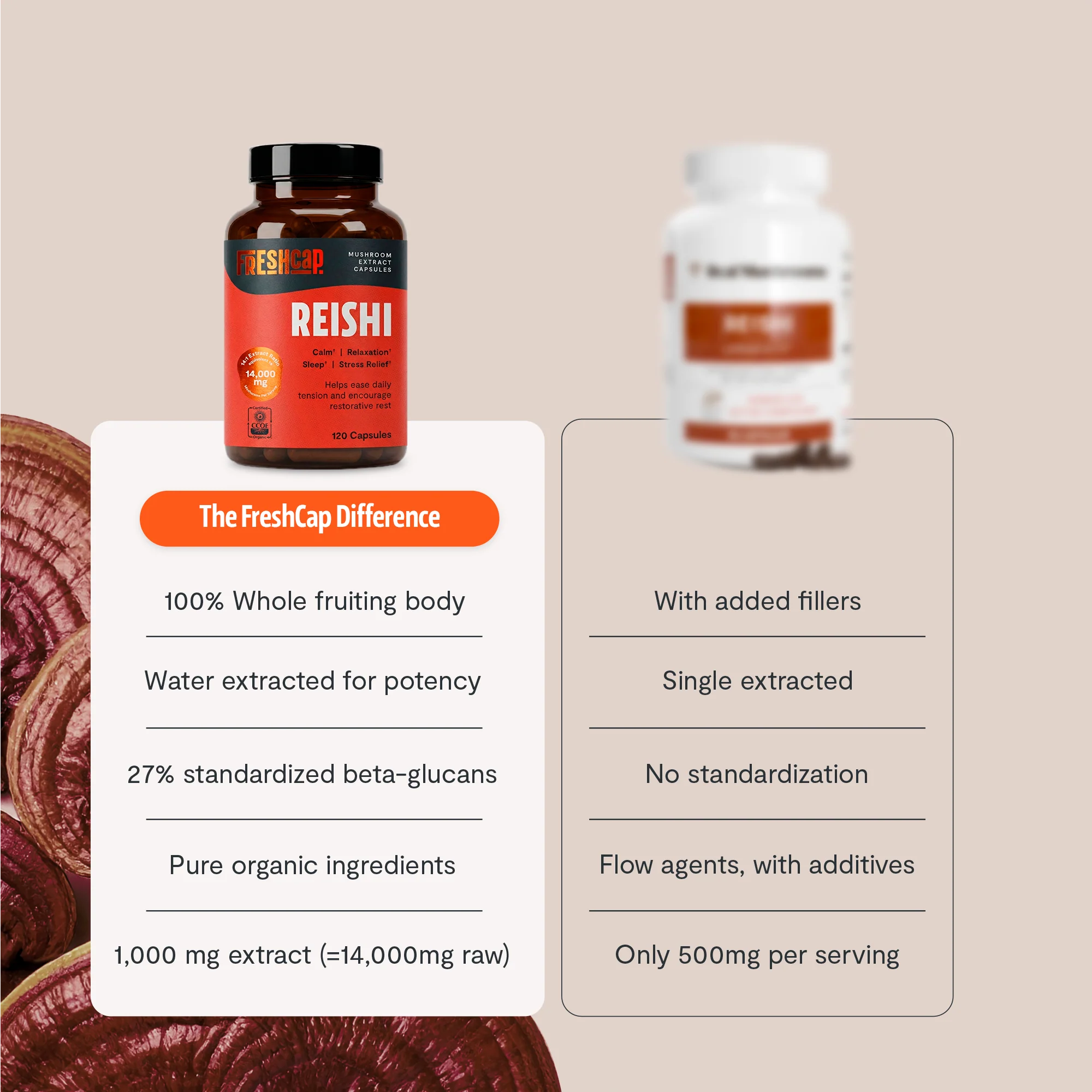 Reishi Mushroom Extract Capsules - Image 4
