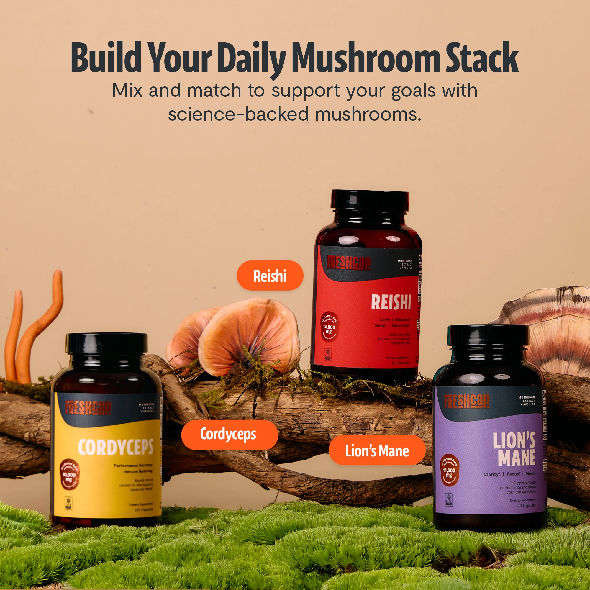 Reishi Mushroom Extract Capsules - Image 7
