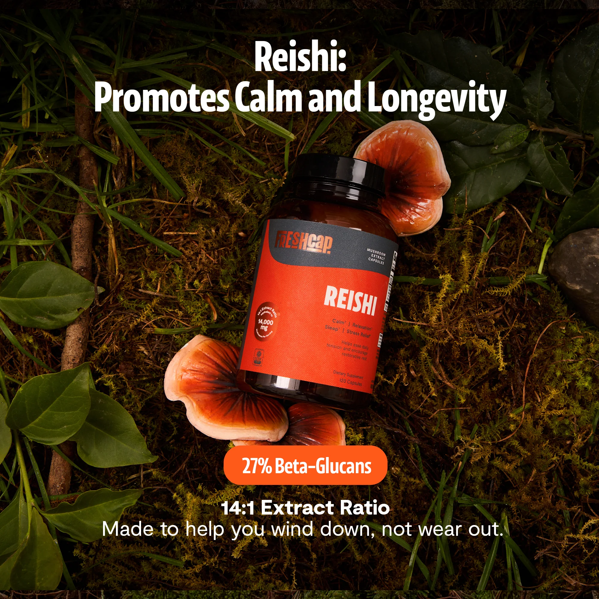 Reishi Mushroom Extract Capsules - Image 9