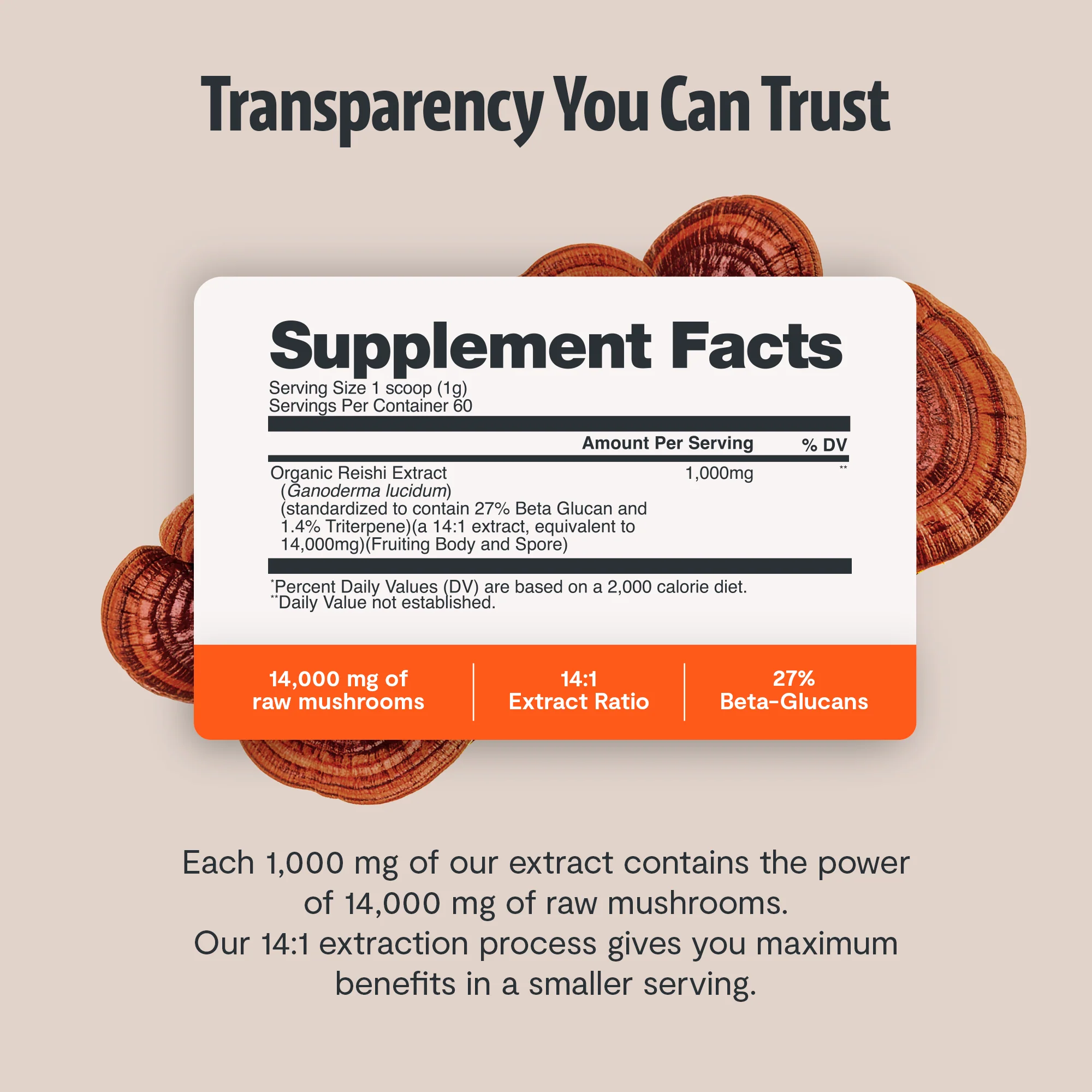 Reishi Mushroom Extract Powder - Image 3