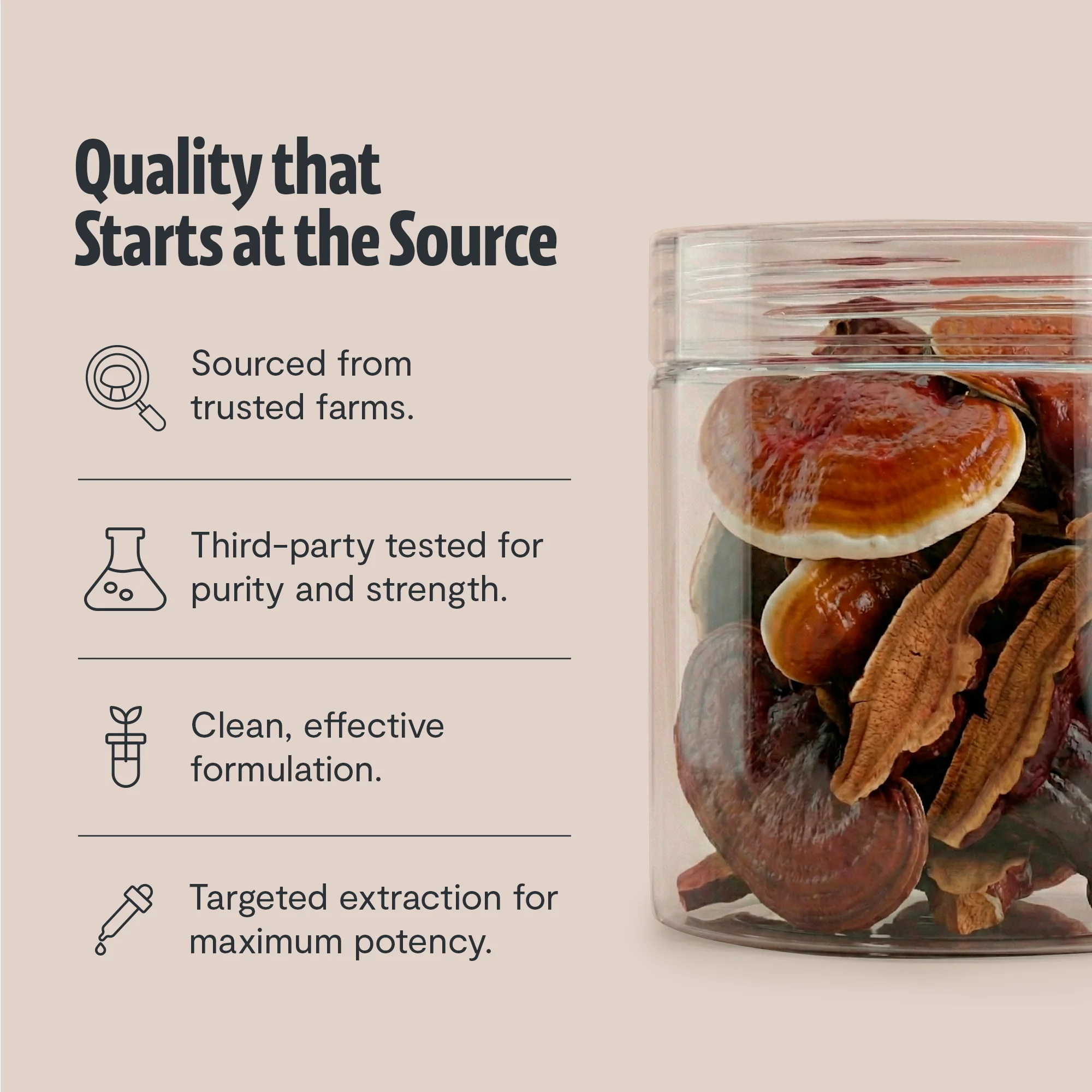 Reishi Mushroom Extract Powder - Image 5