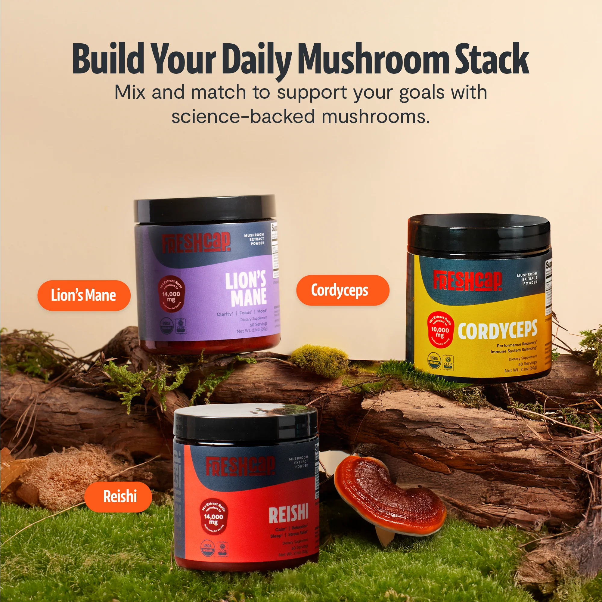 Reishi Mushroom Extract Powder - Image 8