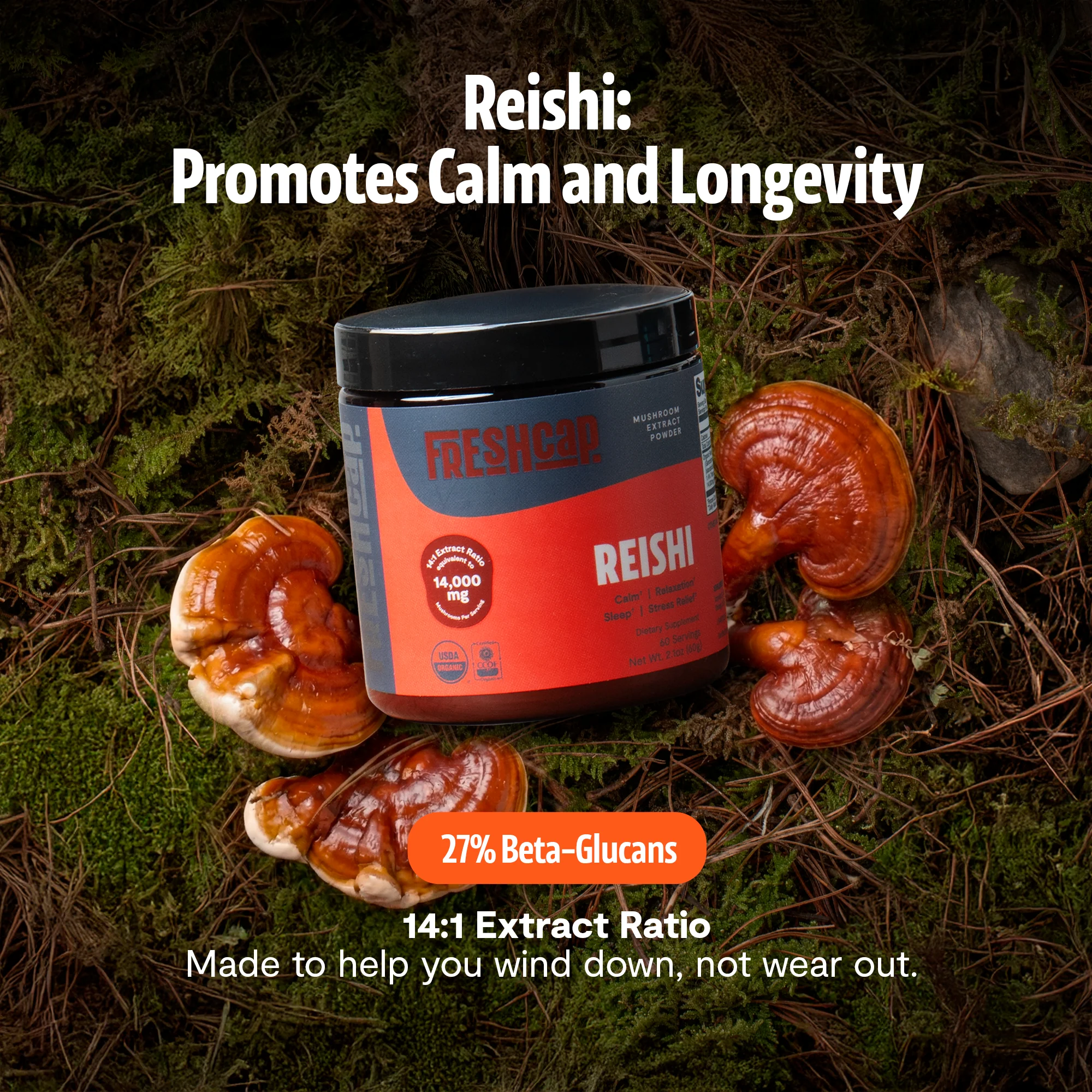 Reishi Mushroom Extract Powder - Image 9