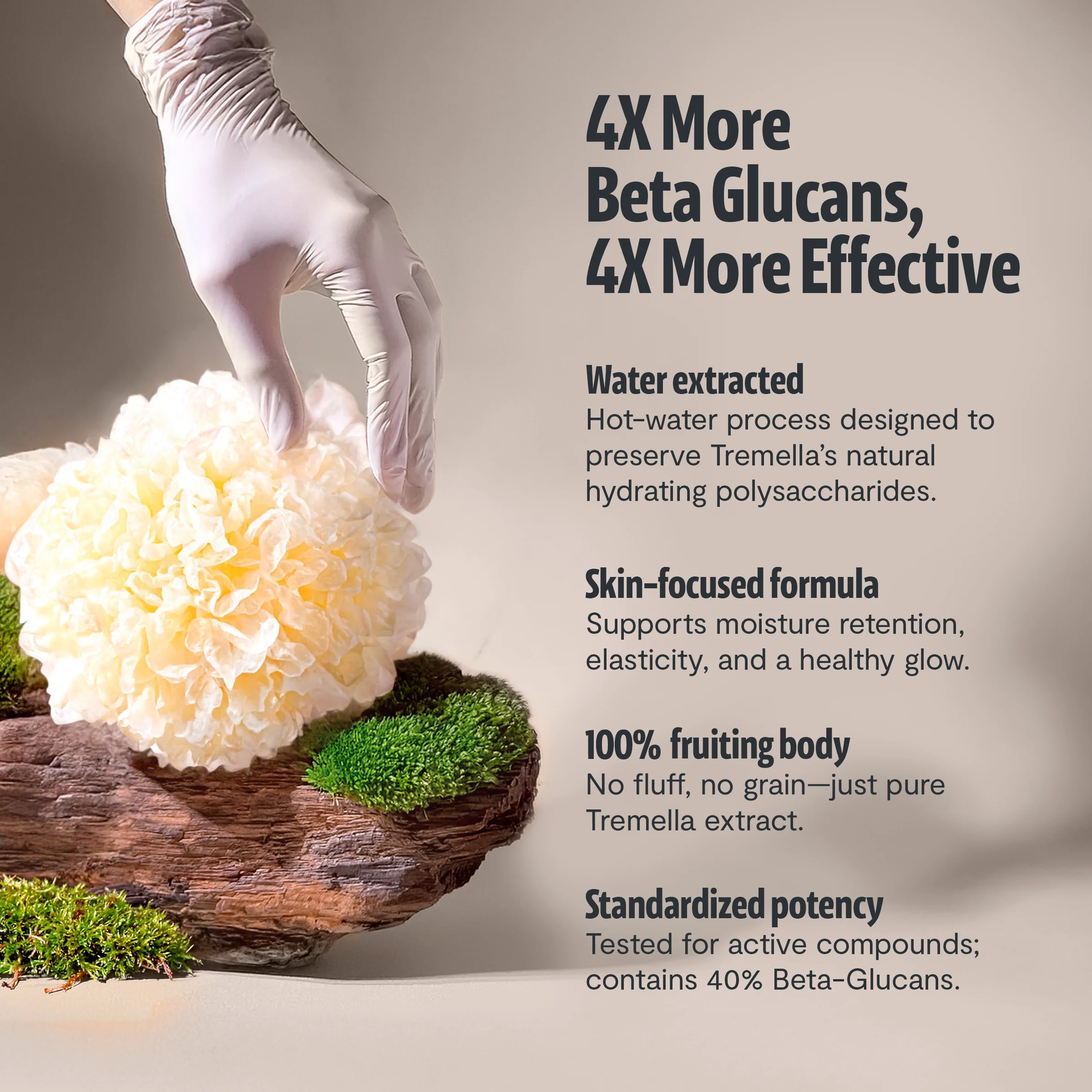 Tremella Mushroom Capsules - Image 3